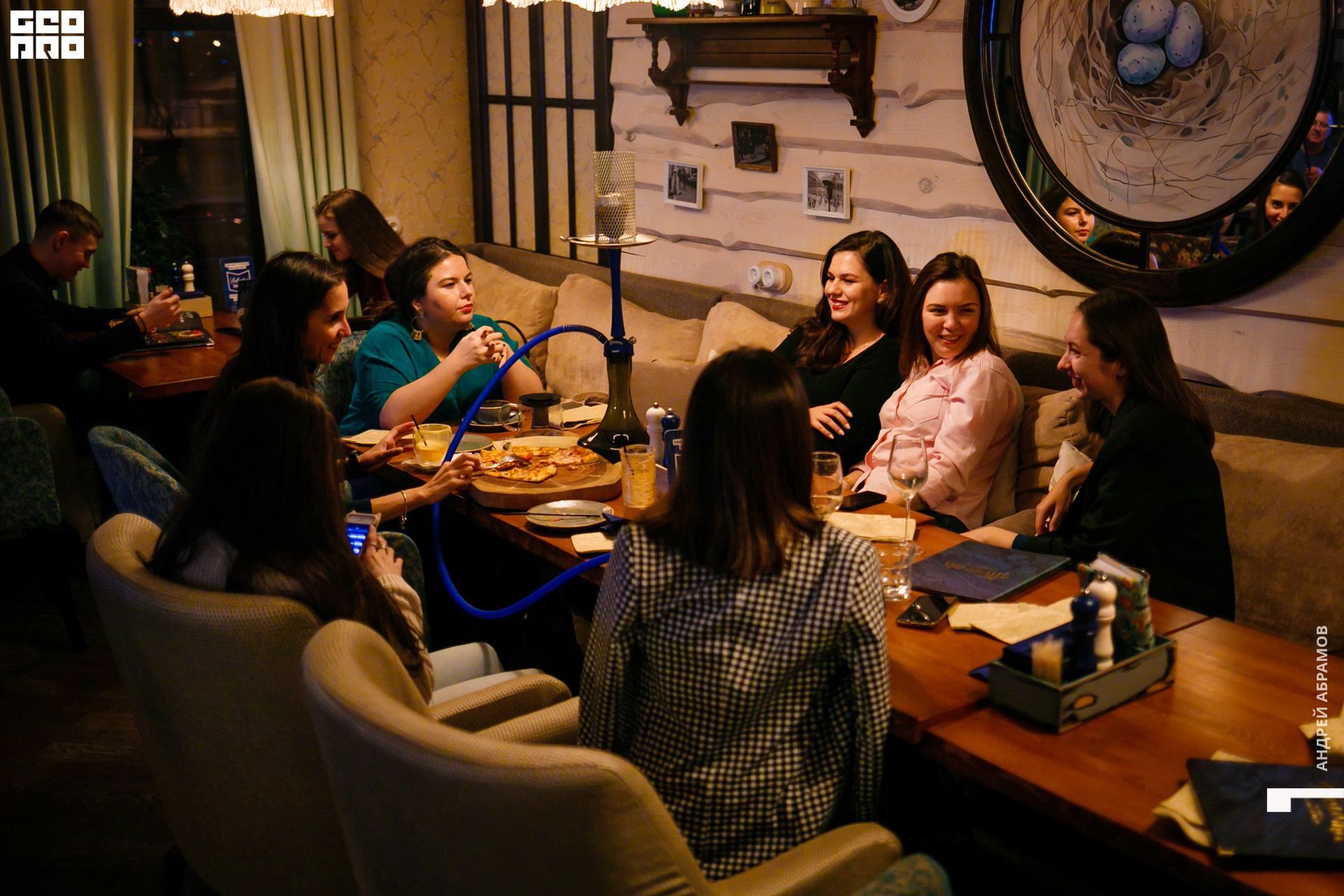 011119 Птичка Абрамов 0086.jpg