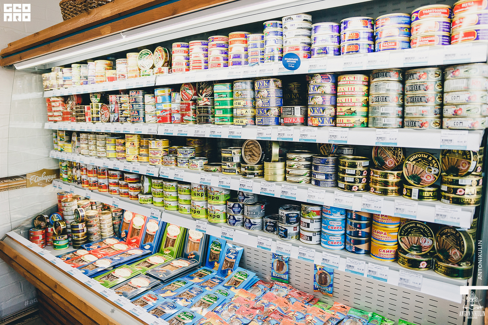 untitled shoot-9762.jpg