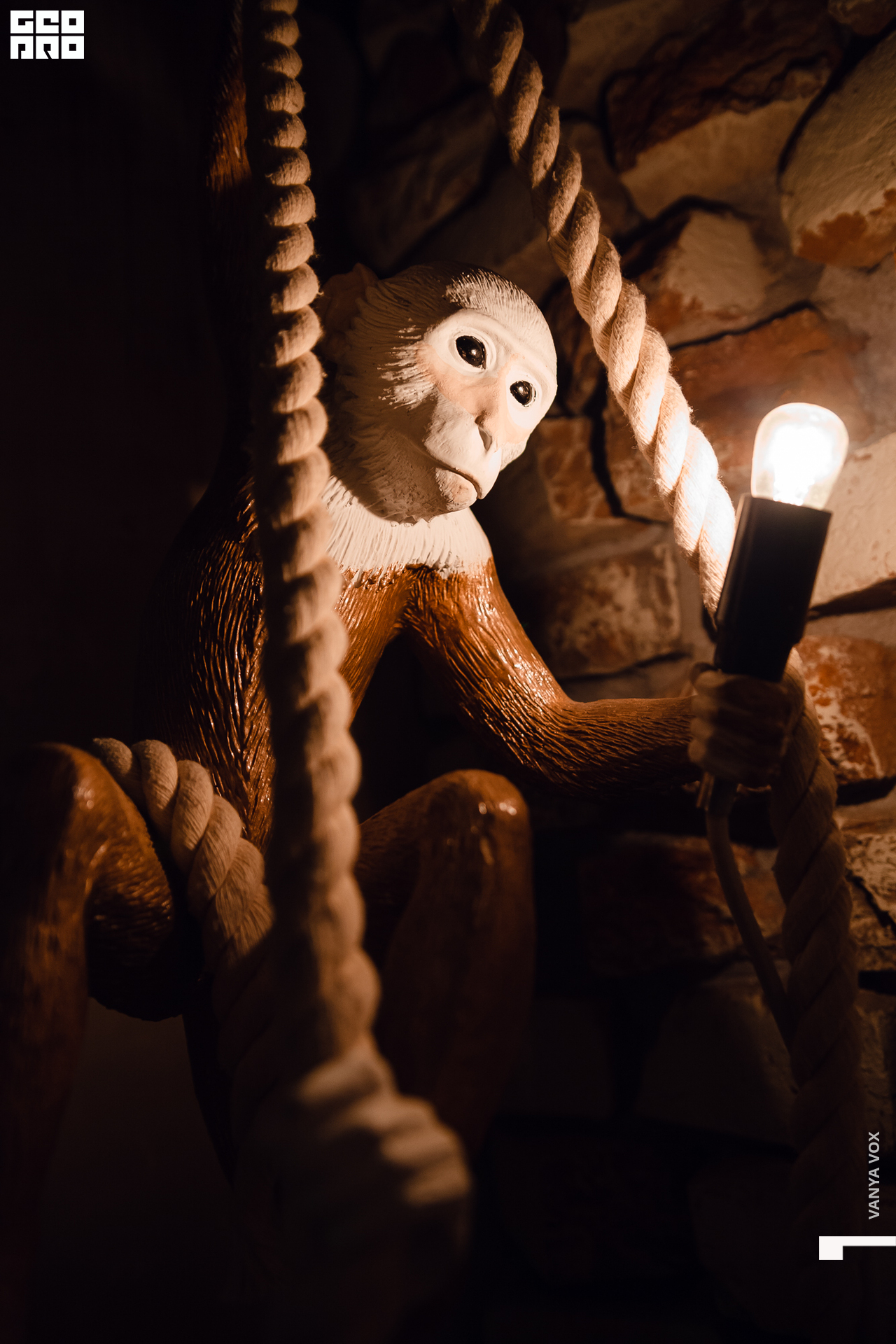 2019-12-20 20-00-00_Вокс_0074.jpg