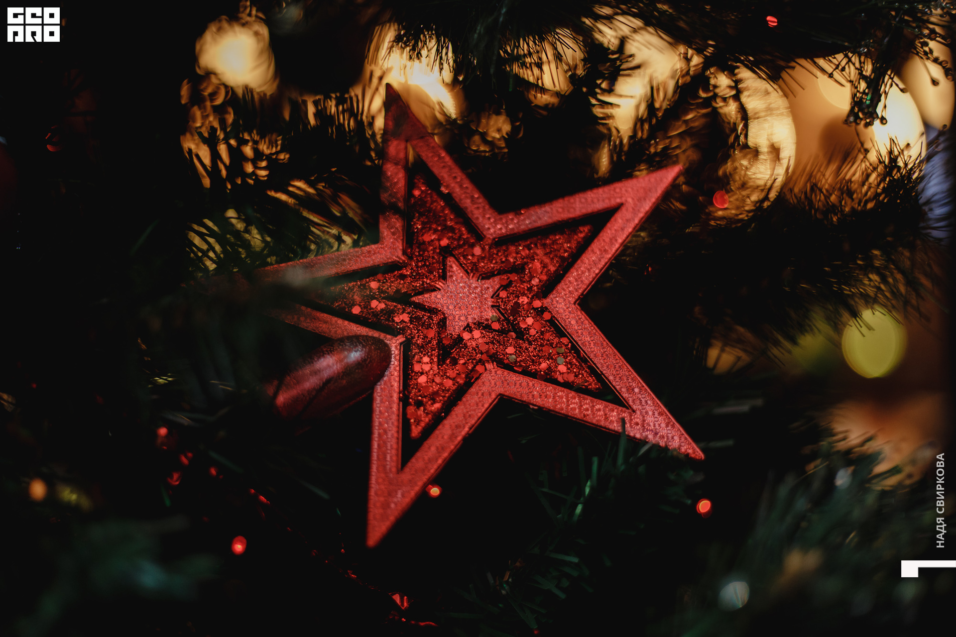 2019-12-27 20-00-00_svirkova_089.jpg