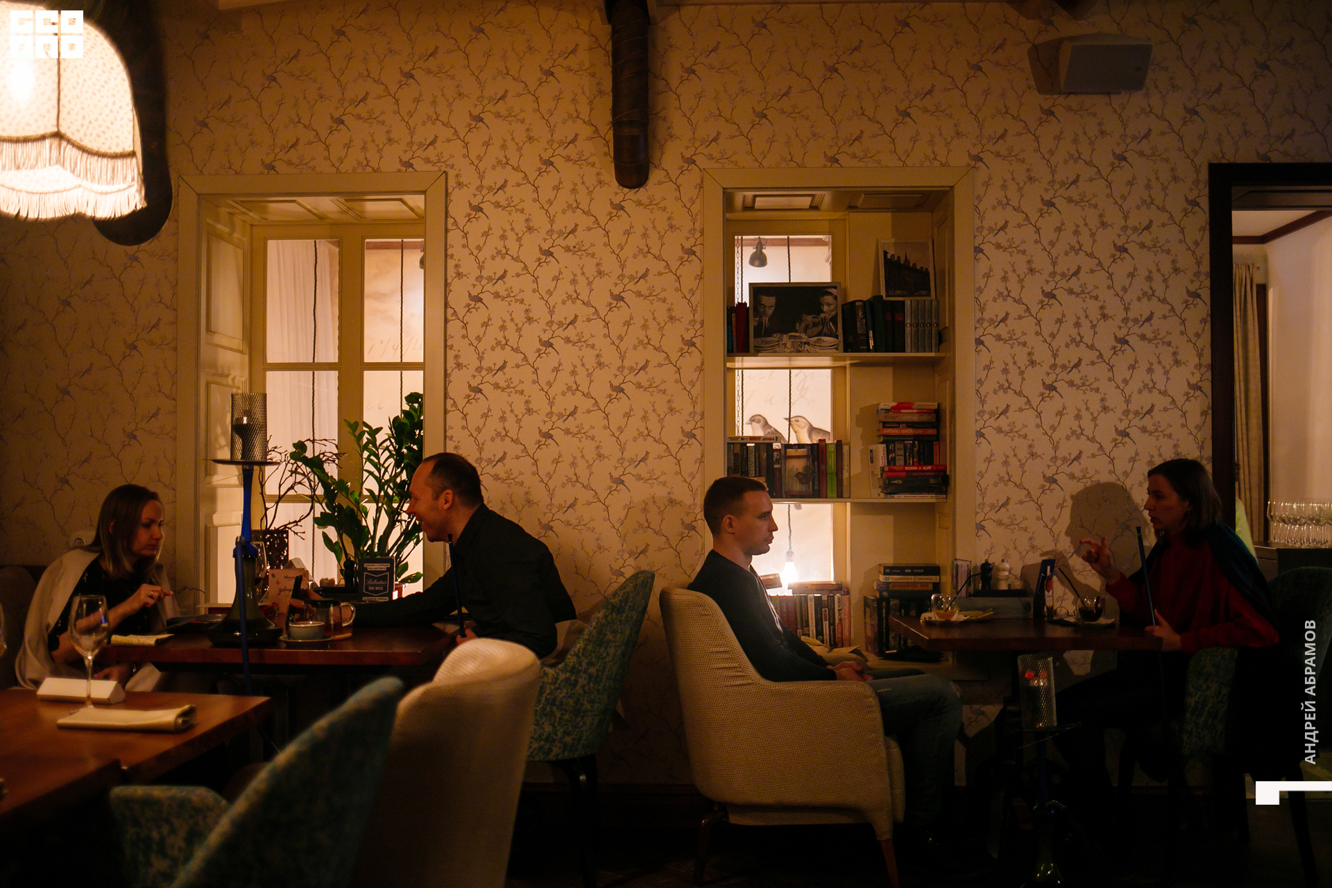 221119 Птичка Абрамов 0026.jpg