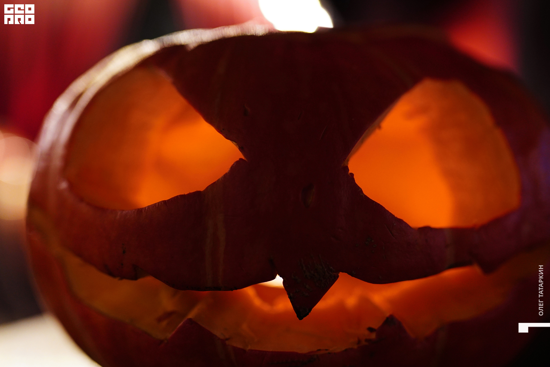 19-10-25 20-49-58_Татаркин.jpg