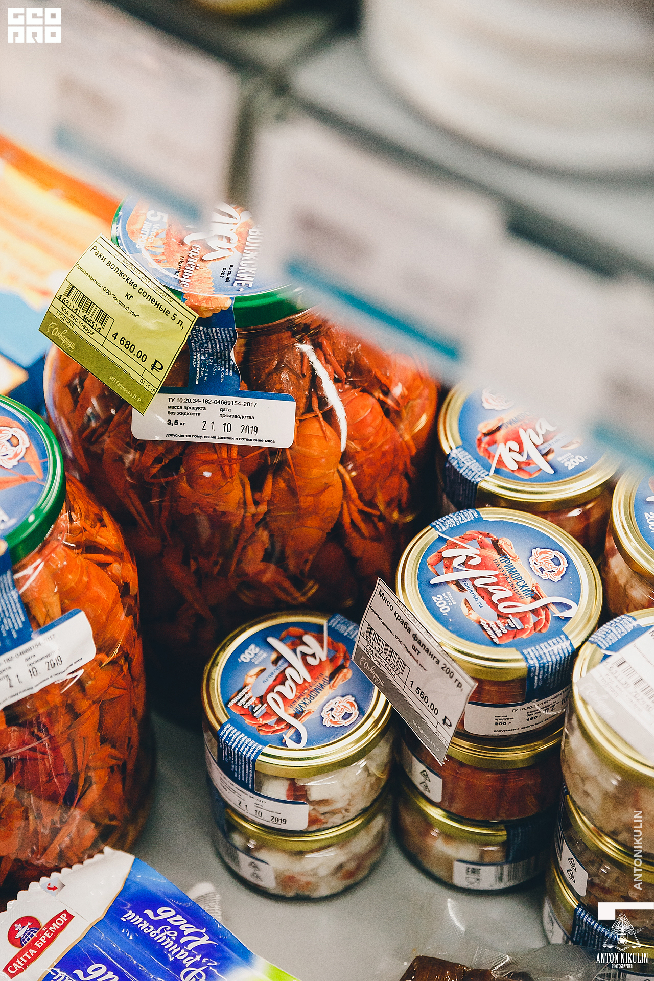 untitled shoot-9764.jpg