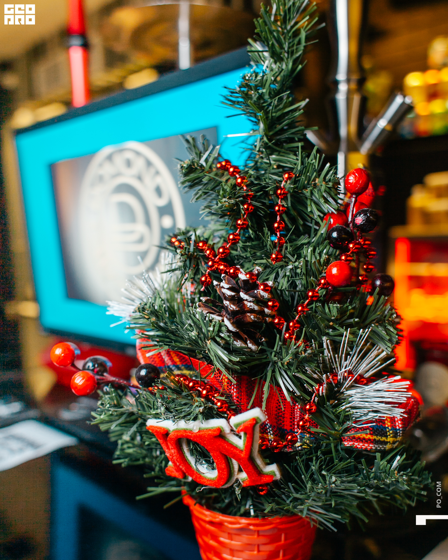 0003 Бомонд.jpg