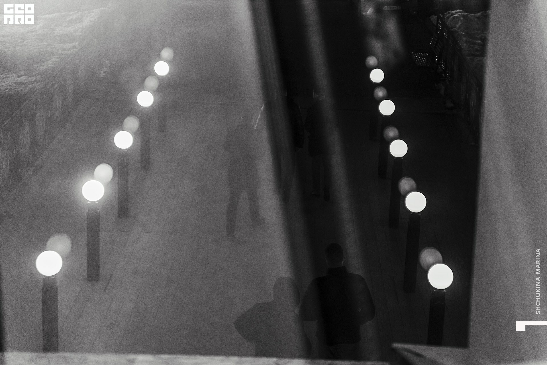 03.11.2019 цвет-257.jpg