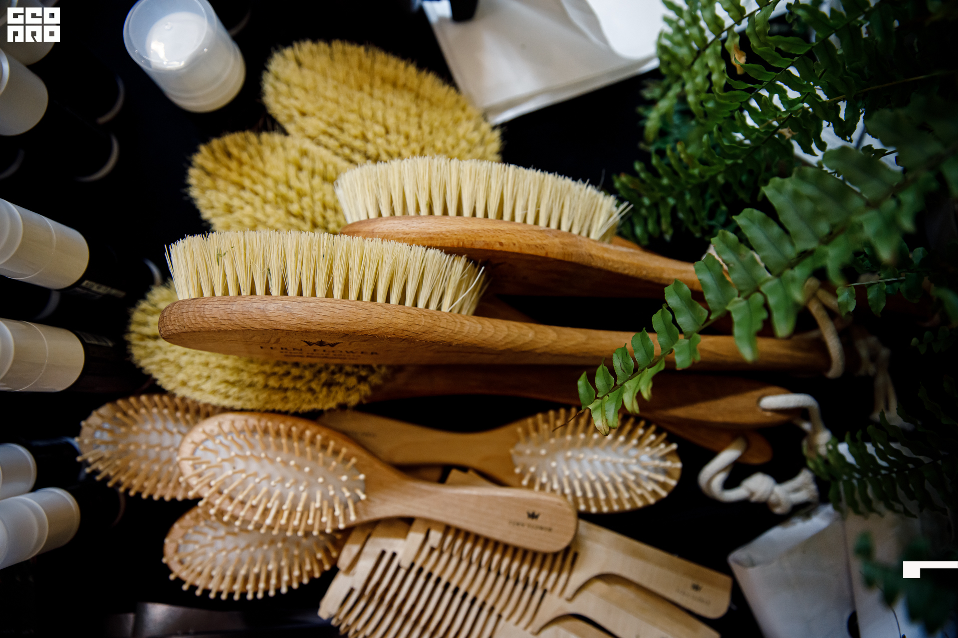 untitled (42-1 of 146).jpg