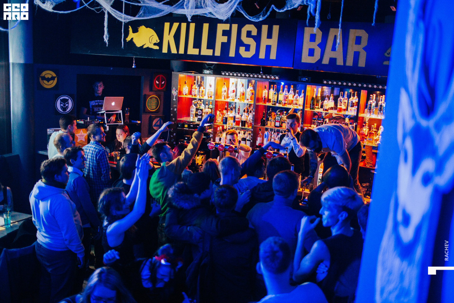 killfish-205.jpg