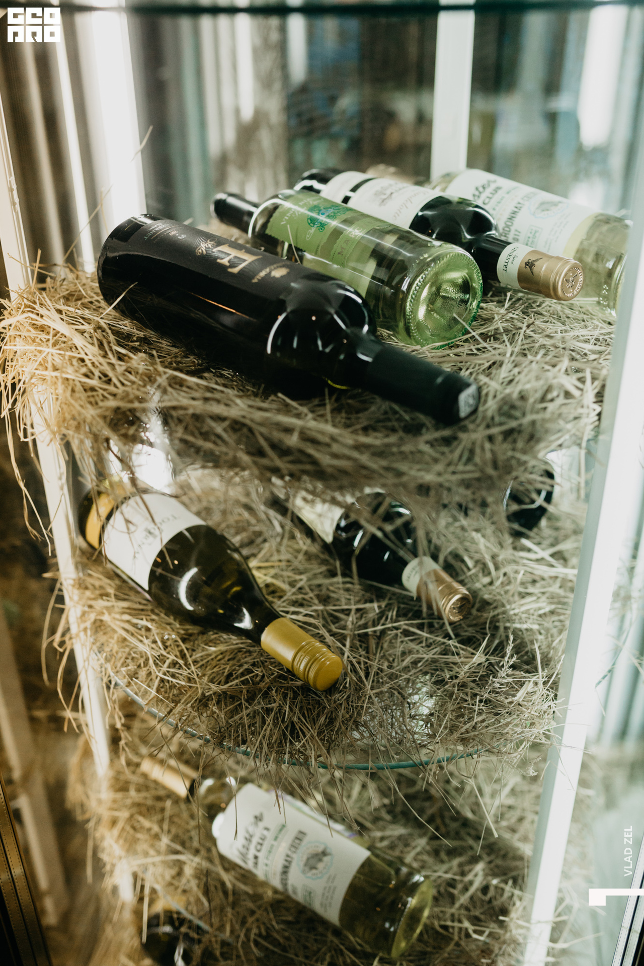 Гео Про-10037.jpg