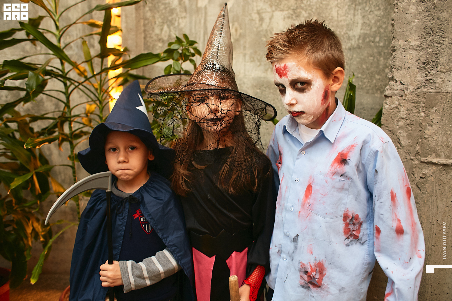 0016 _02112019_102939_Gulyaev.jpg