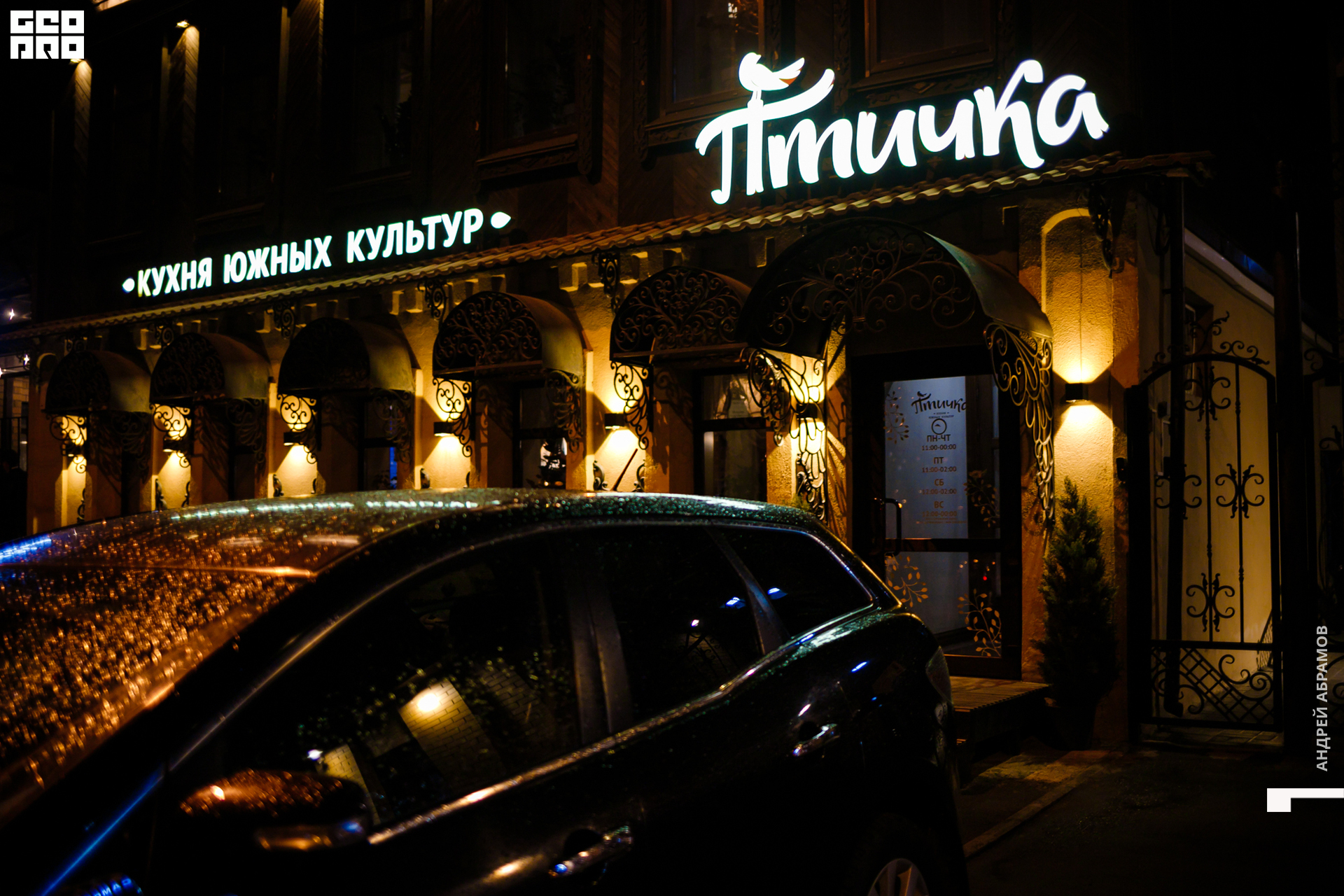 111019 Птичка Абрамов0001.jpg