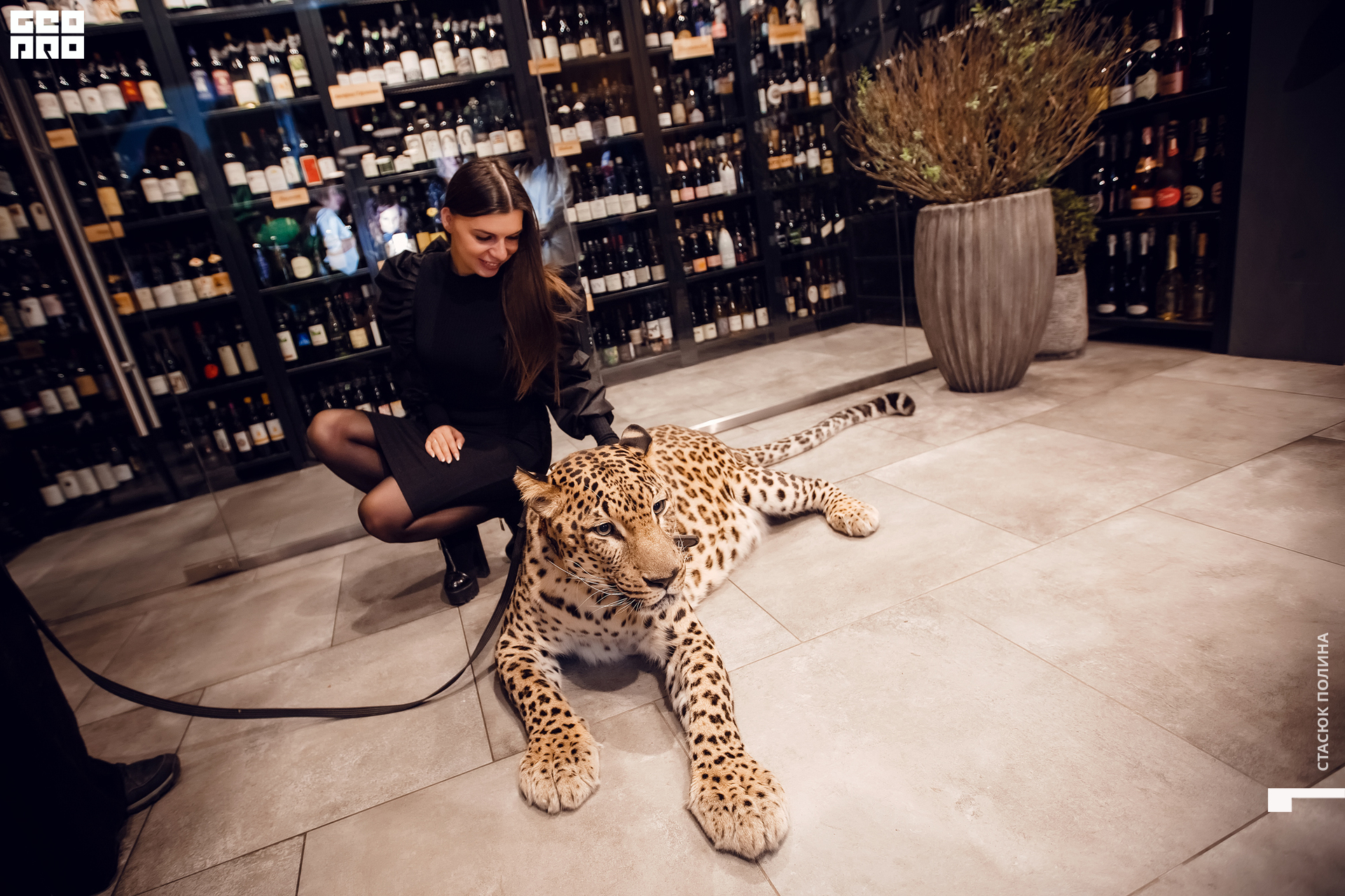 кино вино и домино - 183.jpg