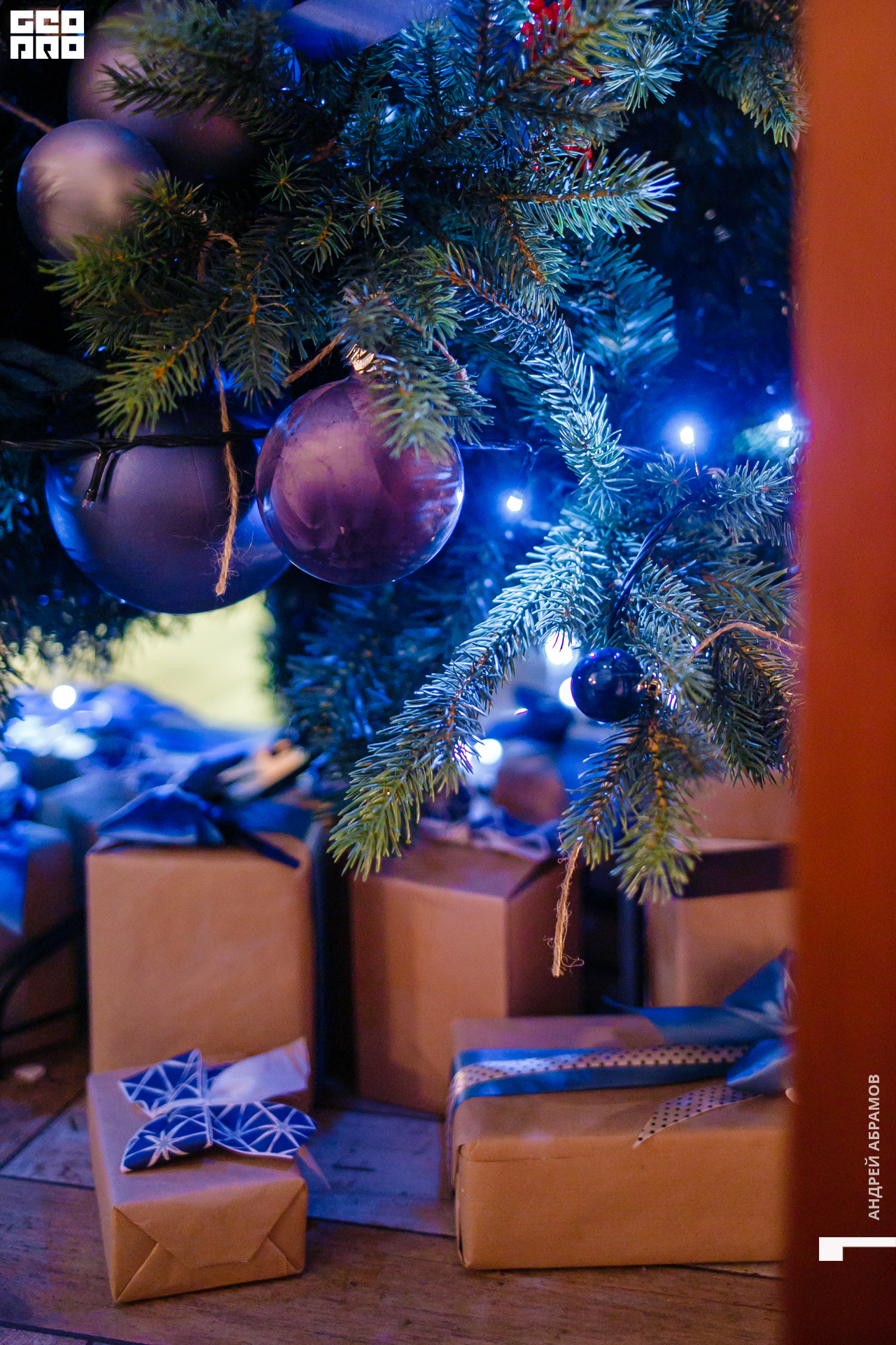 131219 Птичка и 5561 Абрамов для загрузки  0088.jpg