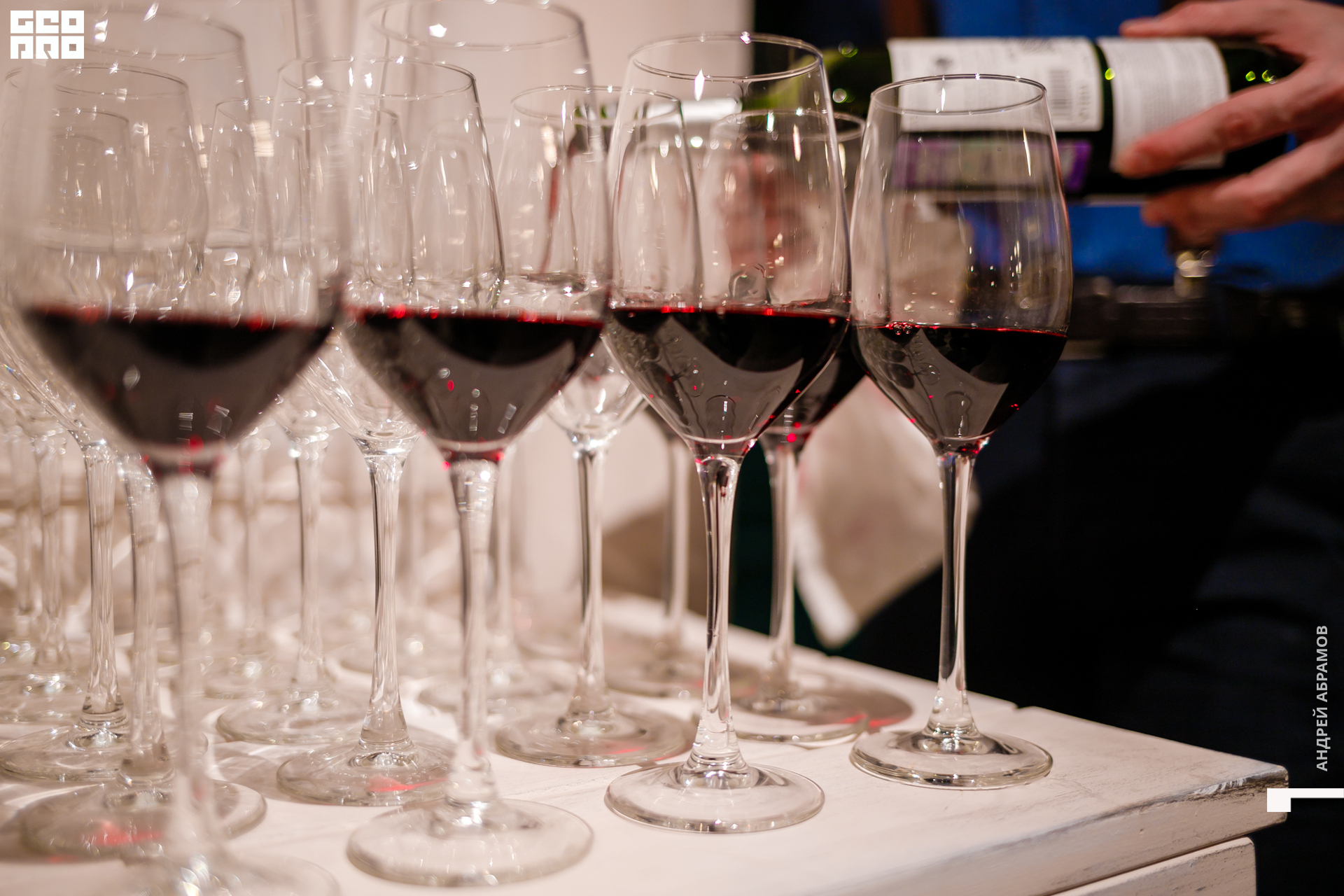 241019 Гастроужин Птичка0071.jpg