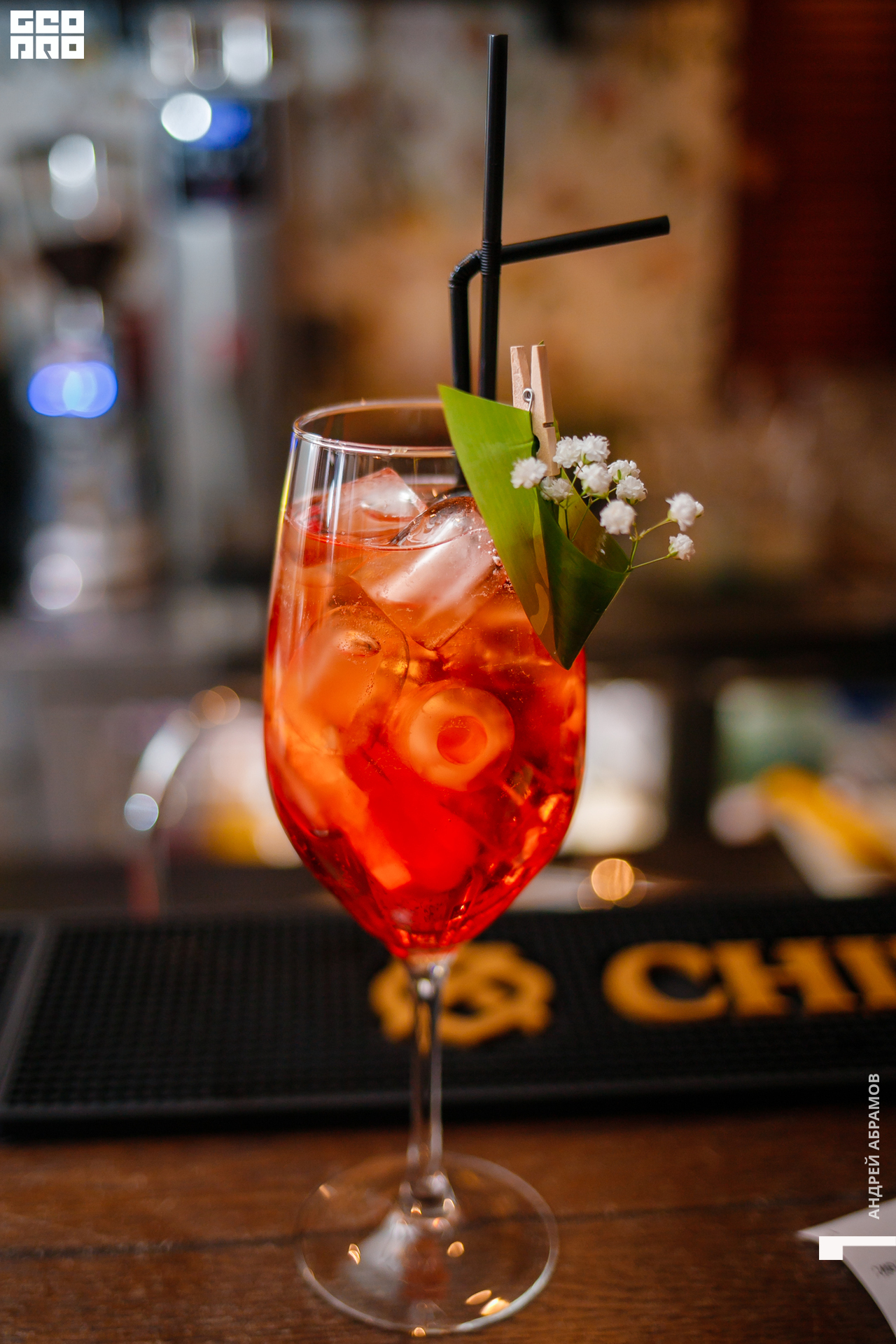 131219 Птичка и 5561 Абрамов для загрузки  0039.jpg