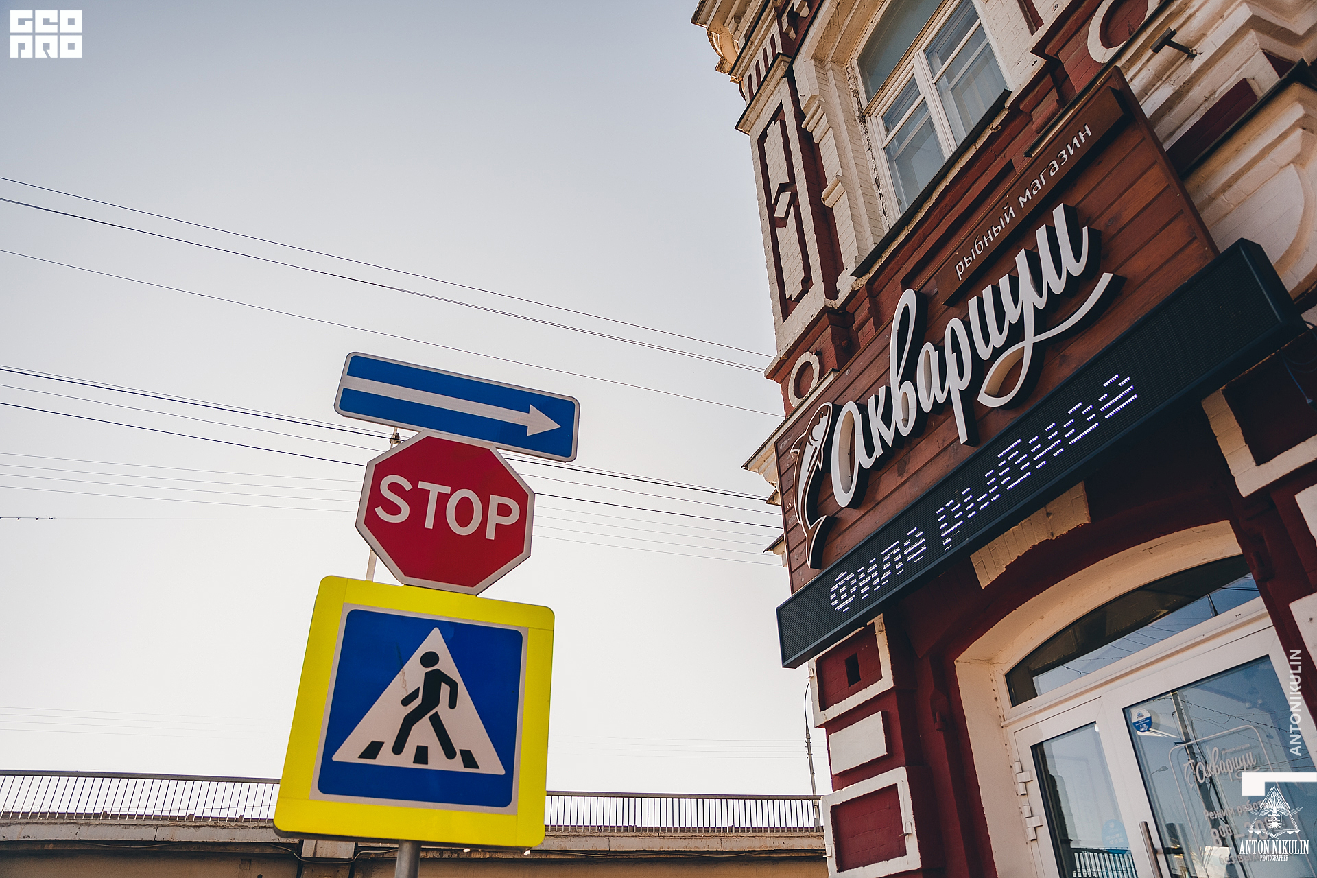 untitled shoot-9677.jpg