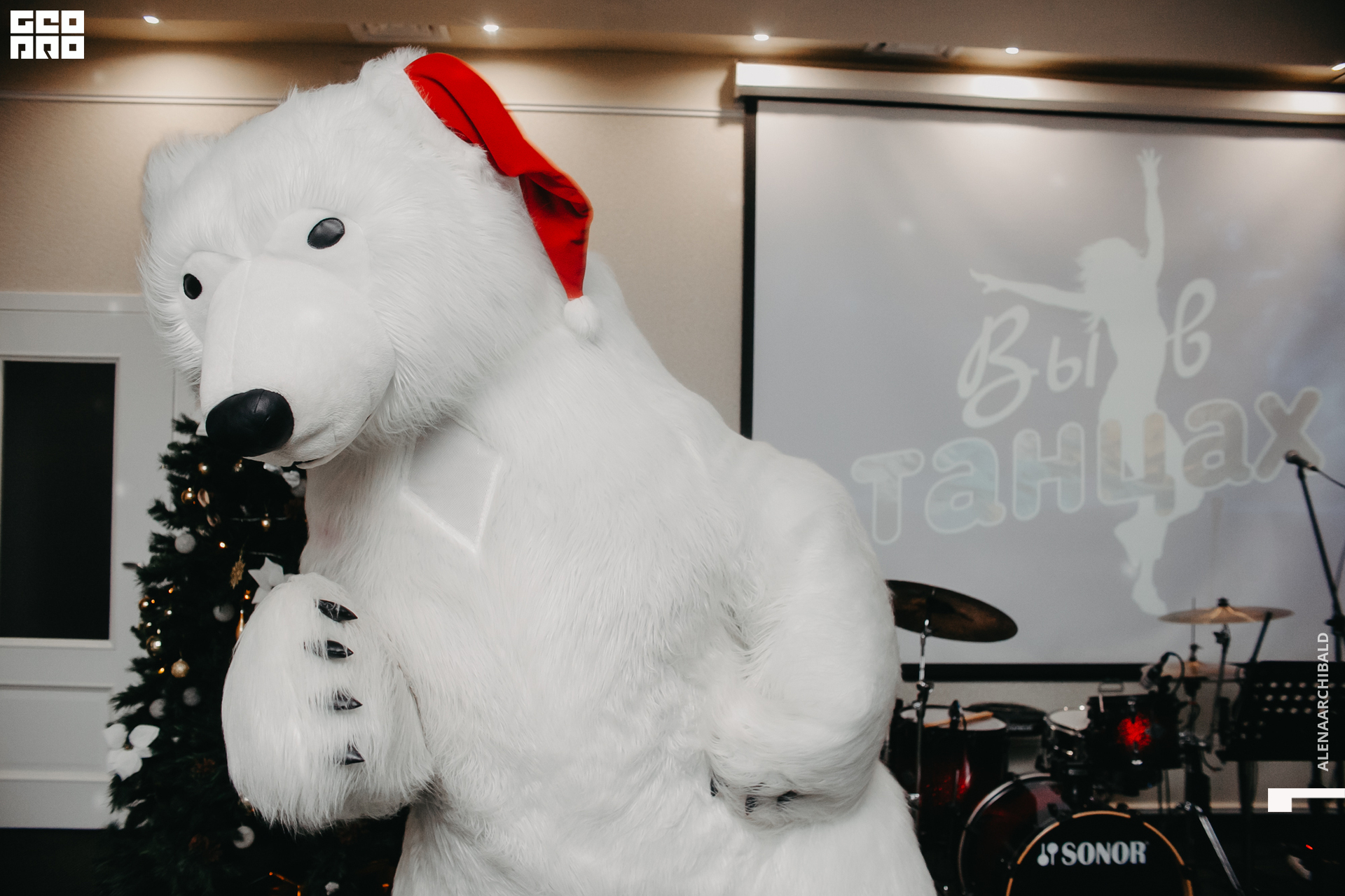 2019-12-31 21-30-25_alenaarchibald_0262.jpg