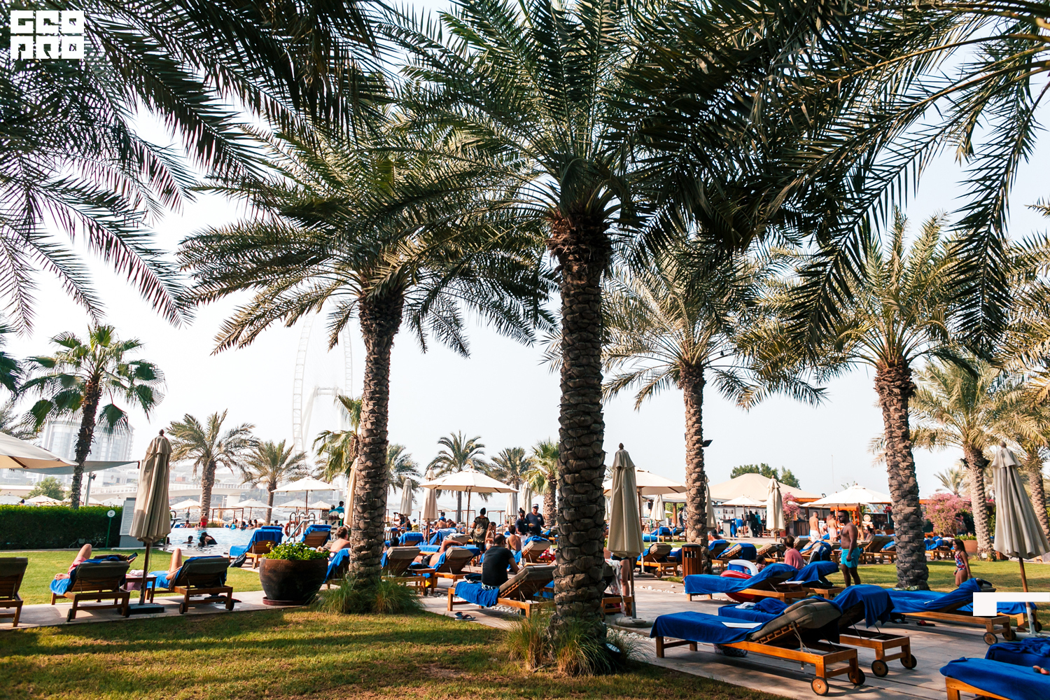 Areia (51 of 51).jpg