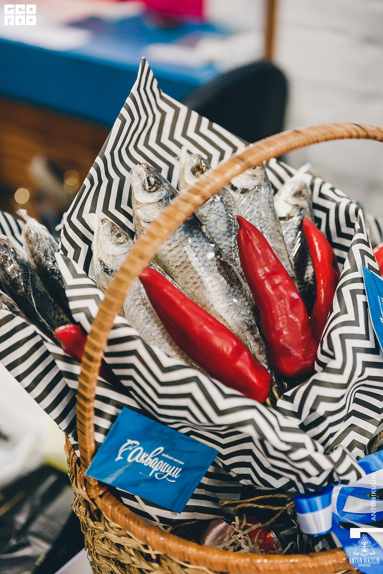 untitled shoot-9731.jpg