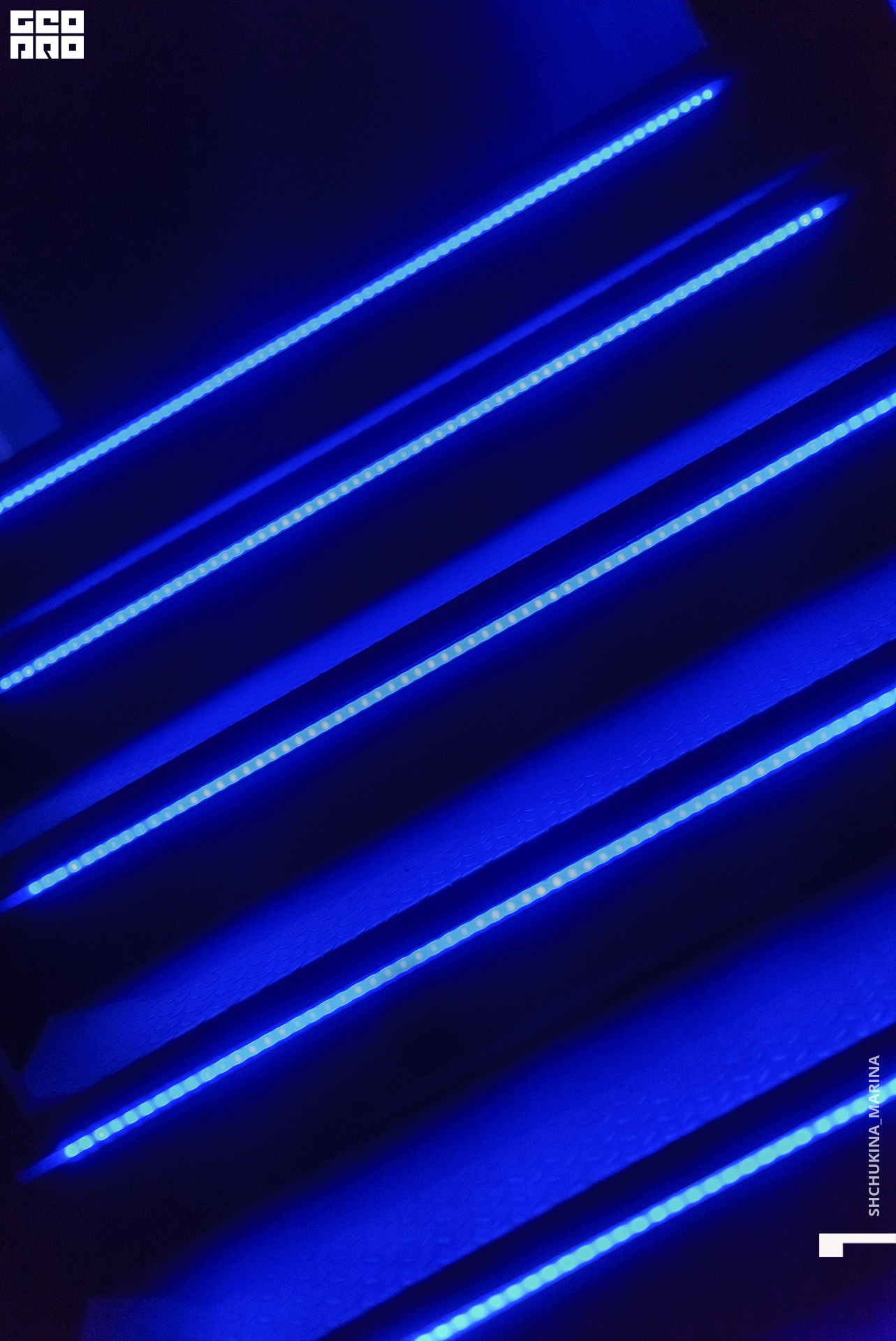 16.10.2019 неон-61.jpg