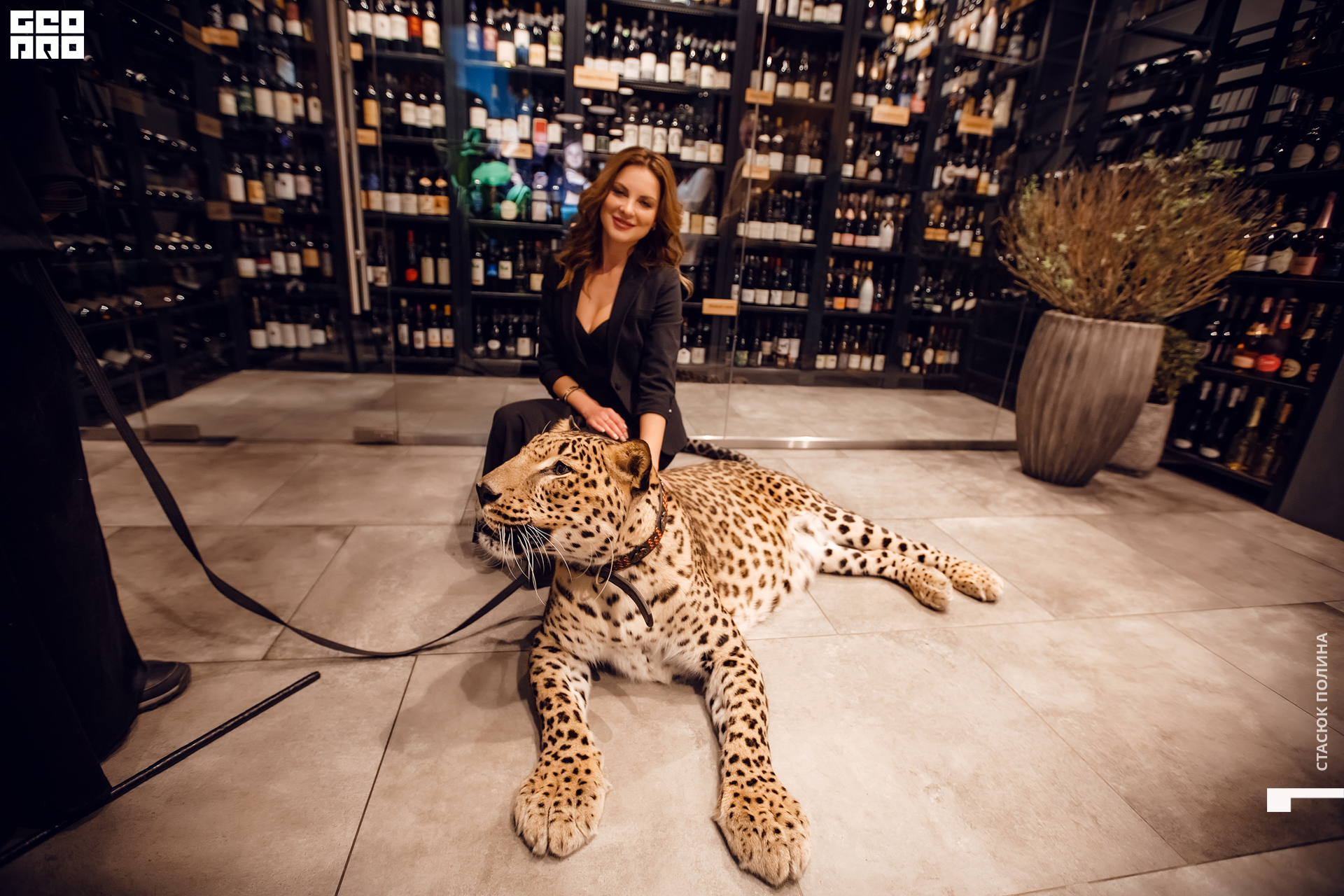 кино вино и домино - 174.jpg