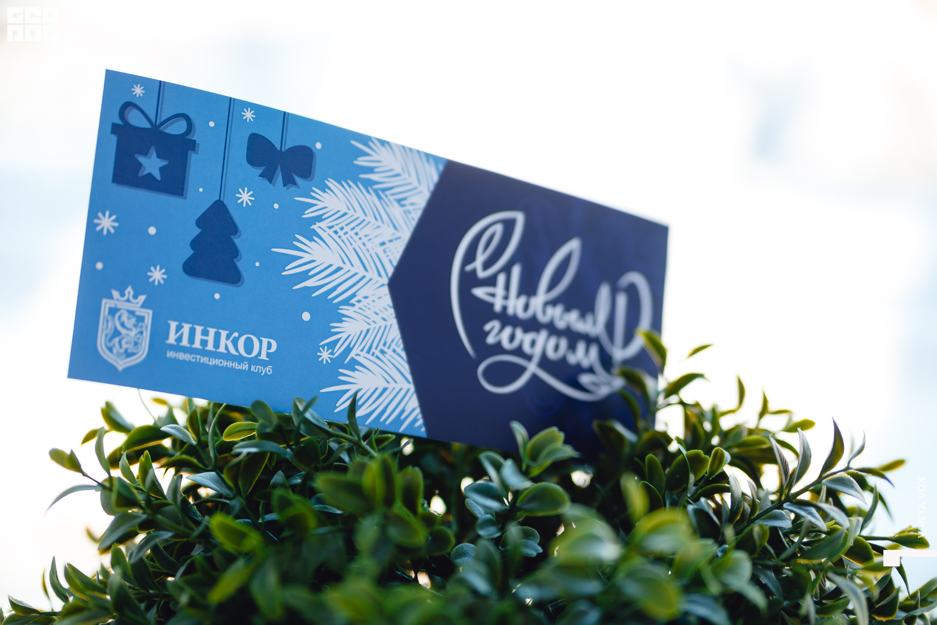 2019-12-14 12-00-00_Вокс_0131.jpg