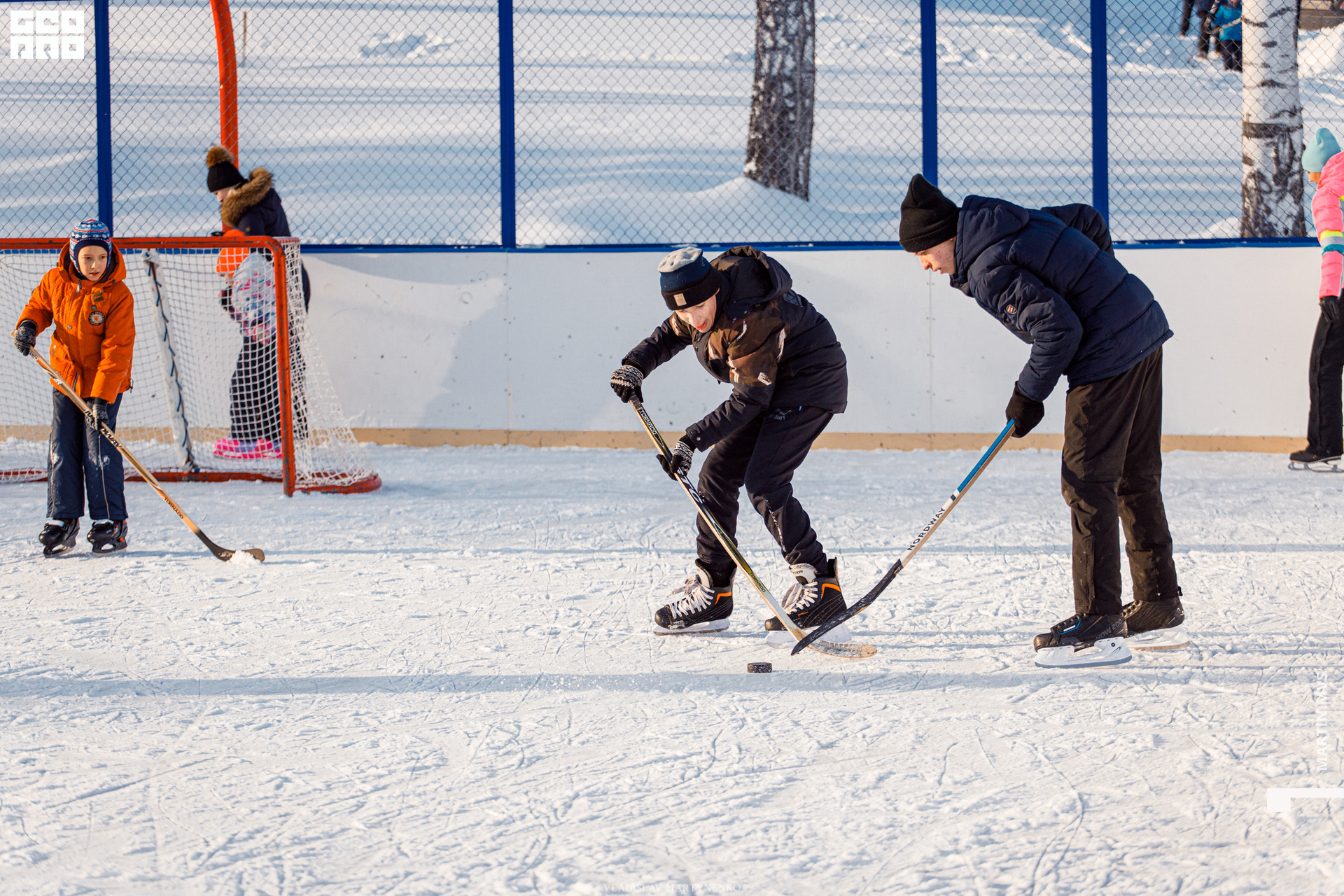 Лесная 26 января_00022.jpg