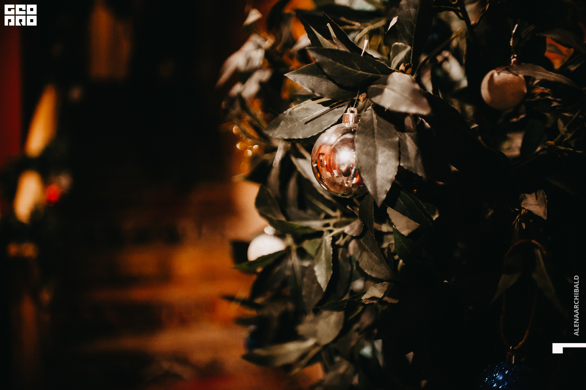 2019-12-06 20-00-36_alenaarchibald_0002.jpg