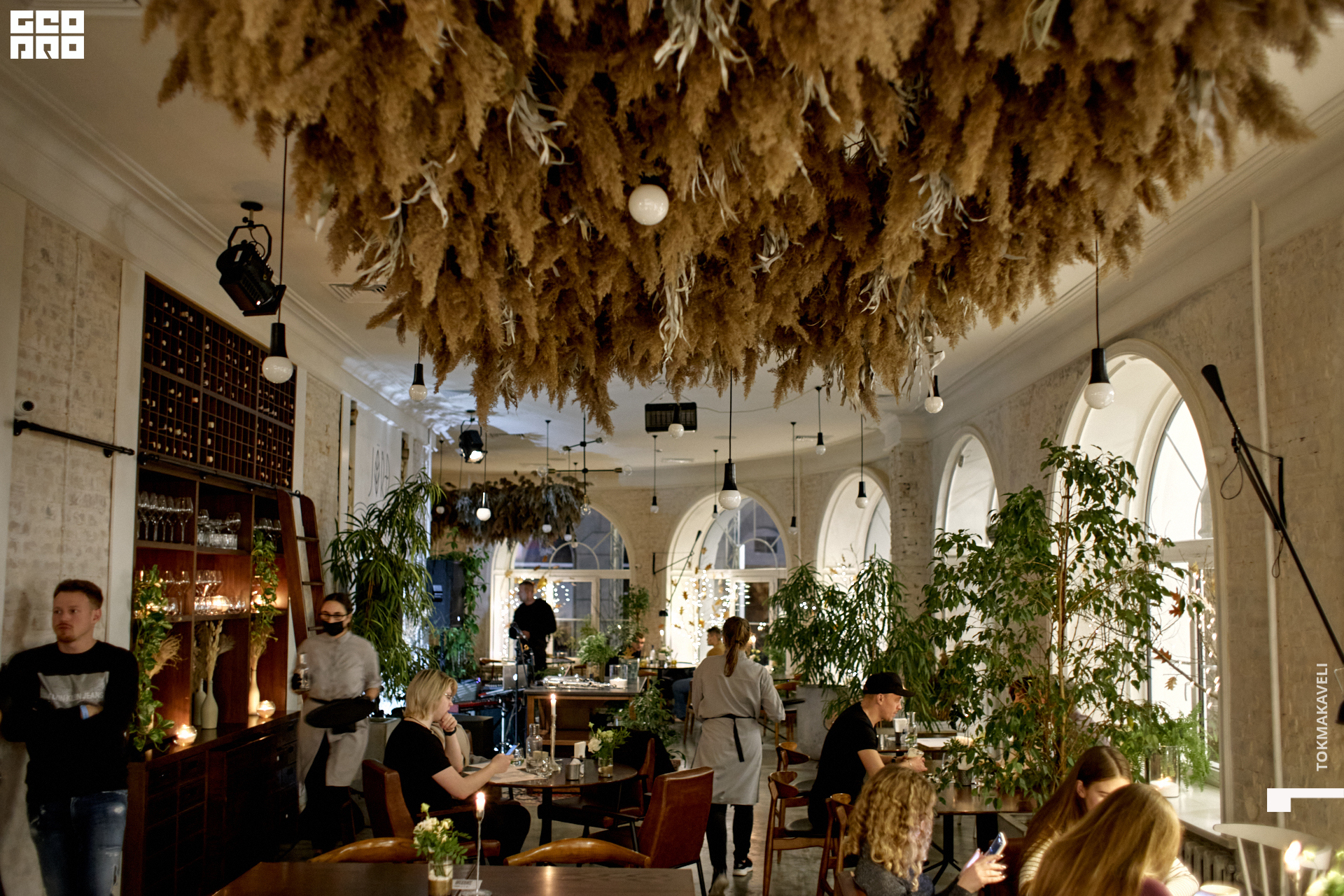 tokmakaveli 2960.jpg