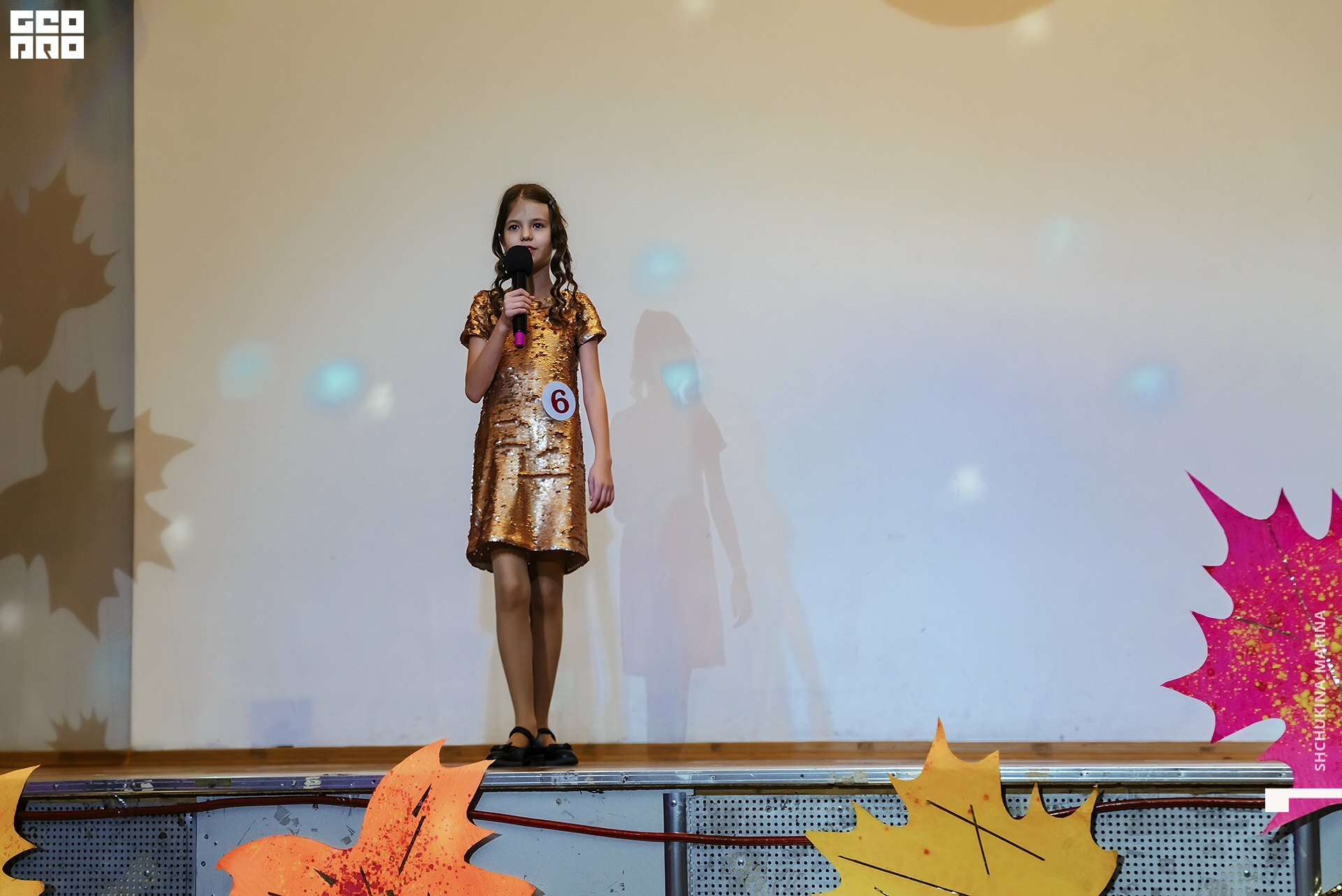 11.11.2019 мисс талант-102.jpg