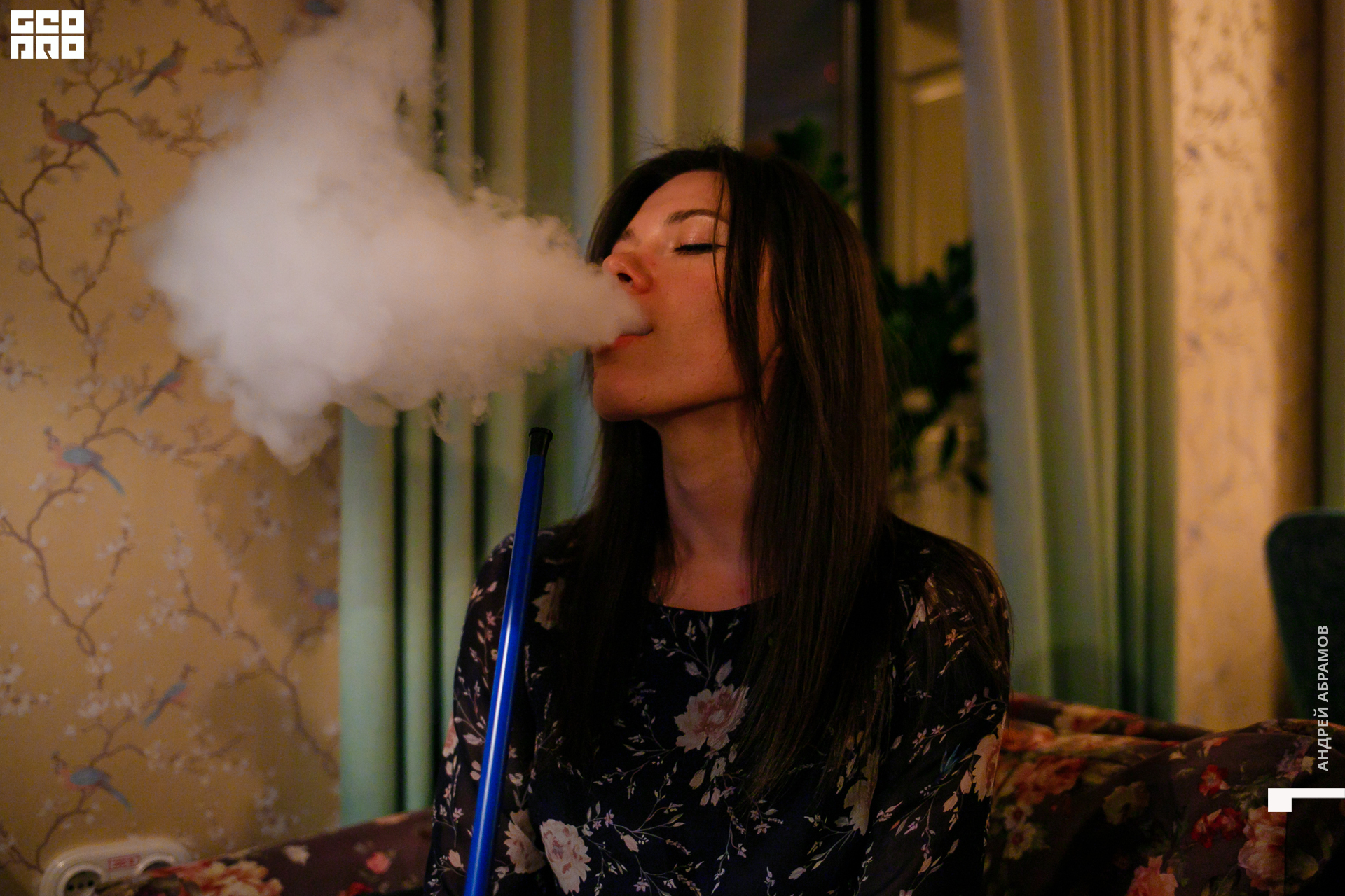 151119 Птичка Абрамов 0017.jpg