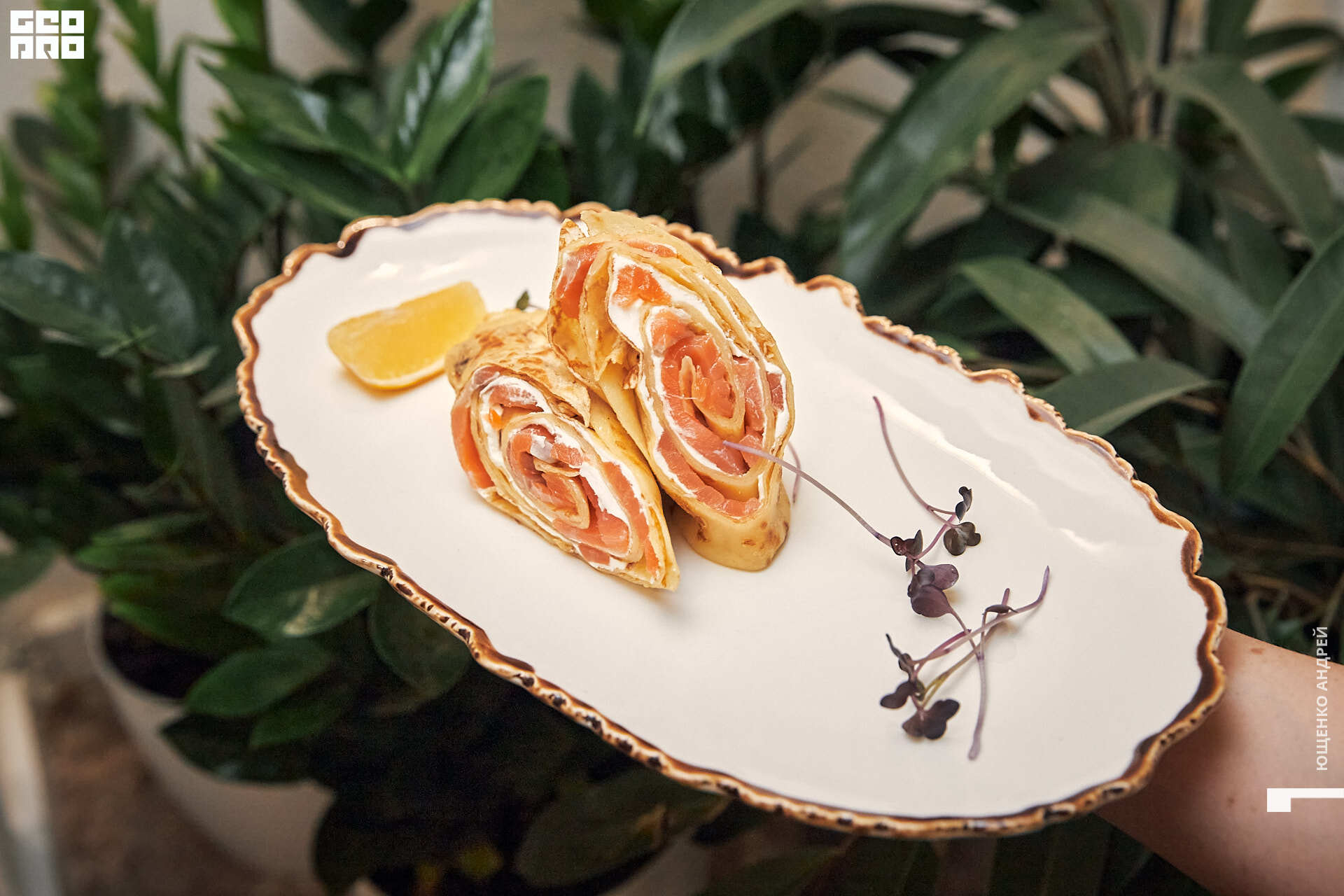 029 IMG_2889  FHD.jpg