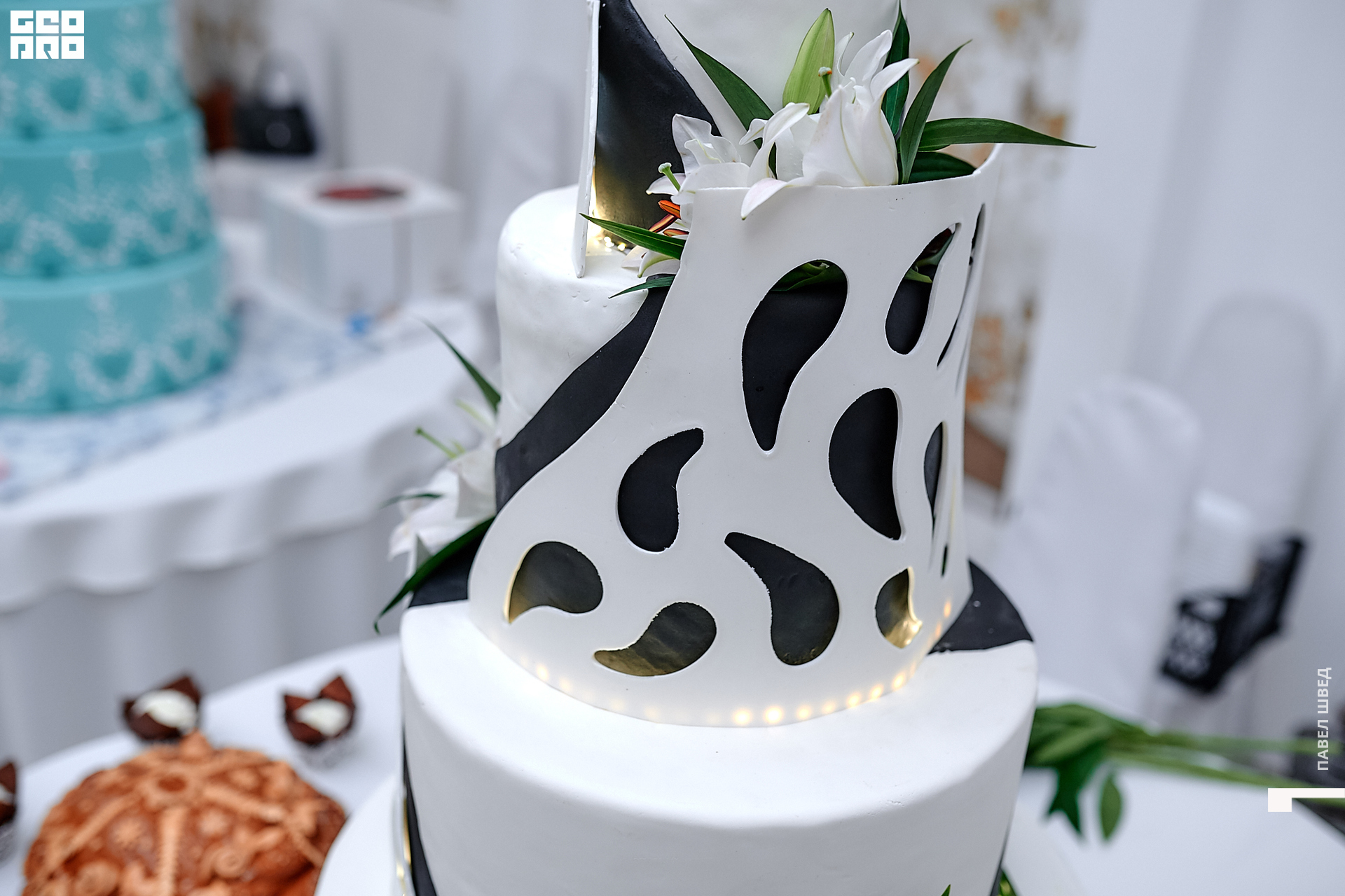 2019-11-24 13-10-00_SHVED_0012.jpg