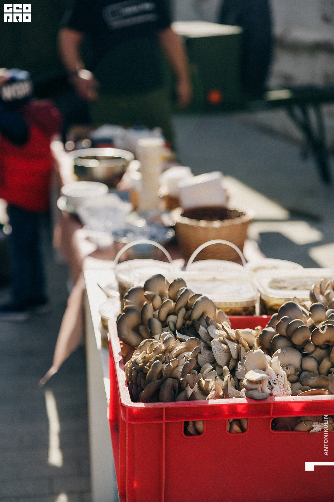 untitled shoot-2366.jpg