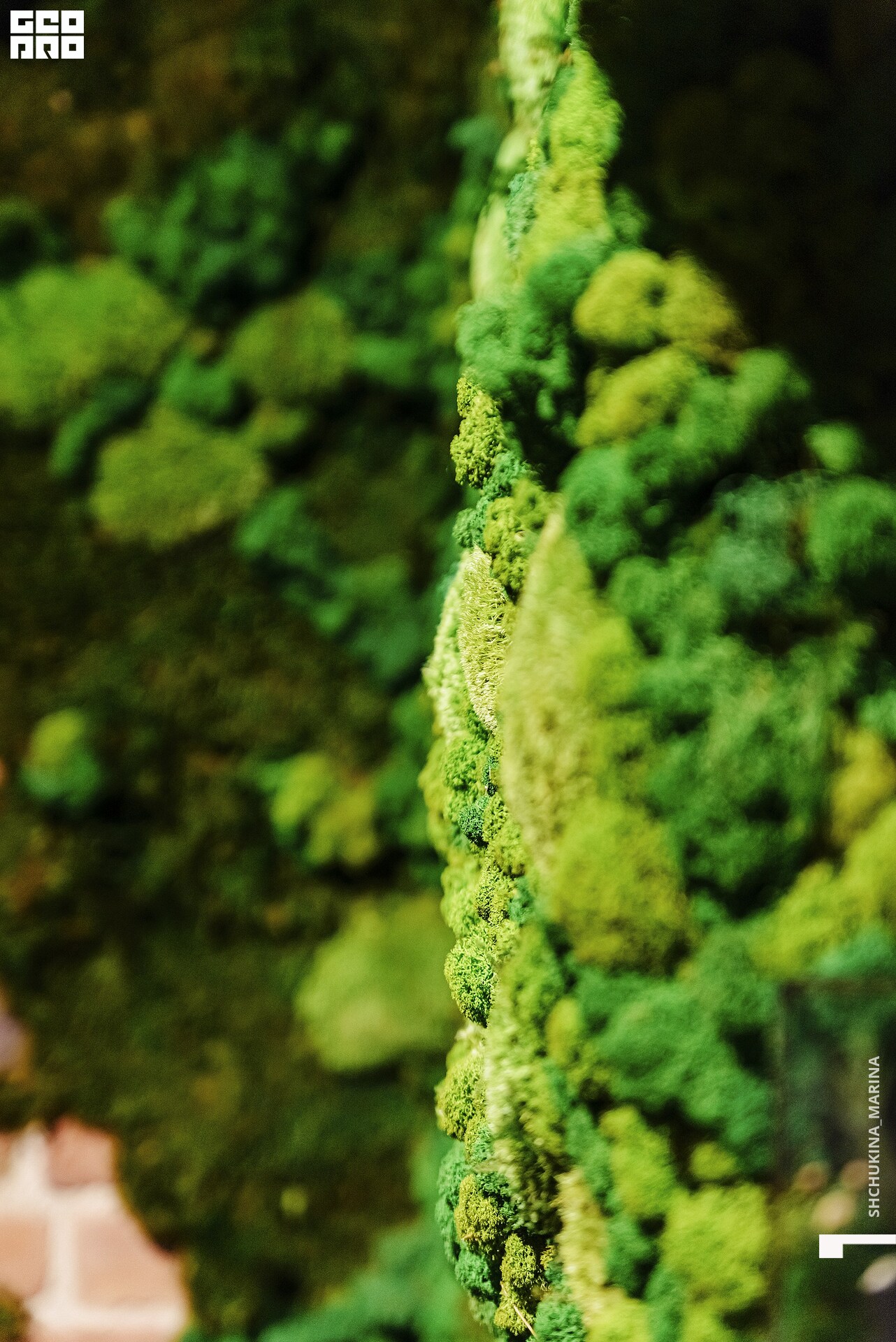  31.10.2019 цвет-137.jpg