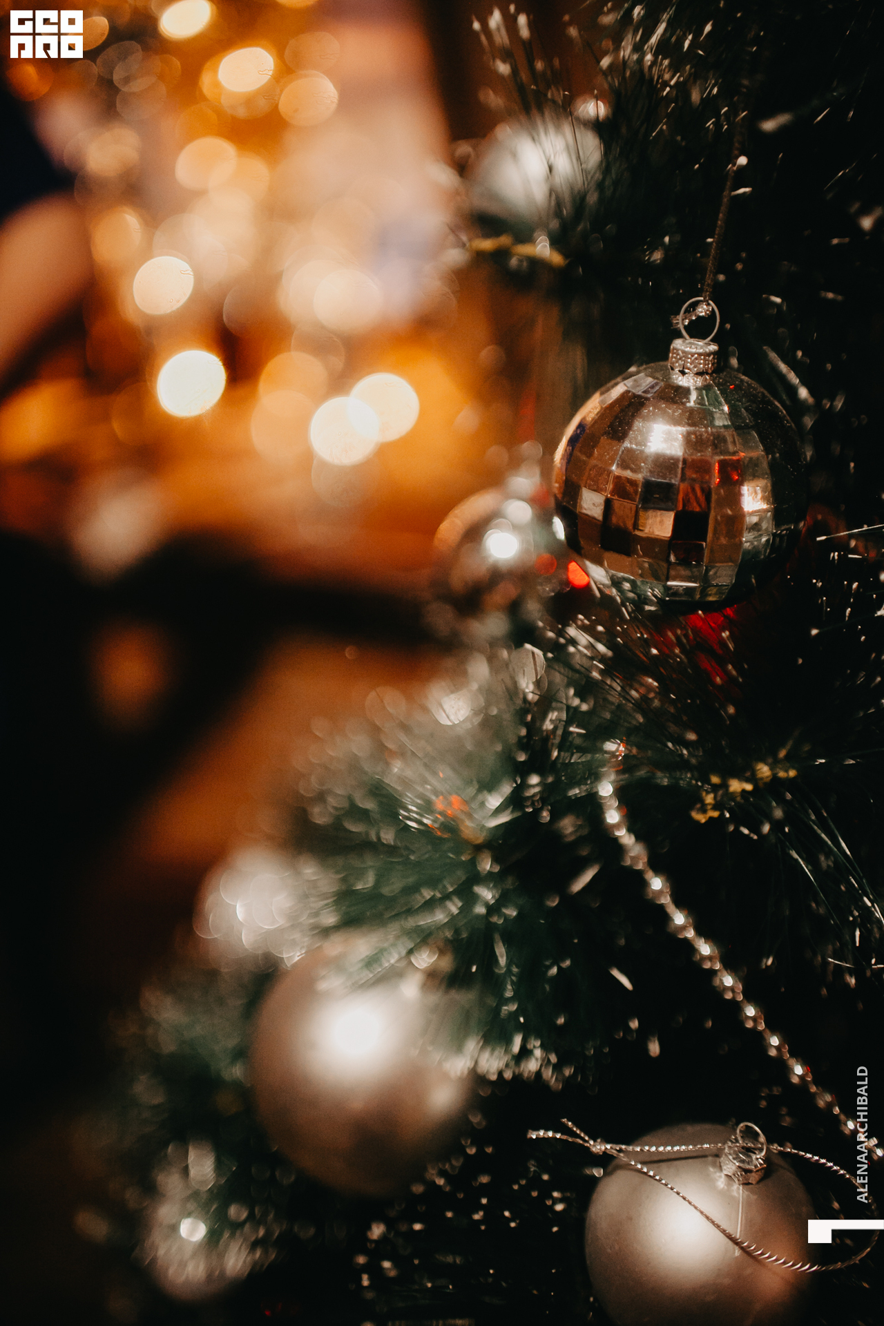 2019-12-20 20-00-13_alenaarchibald_0062.jpg