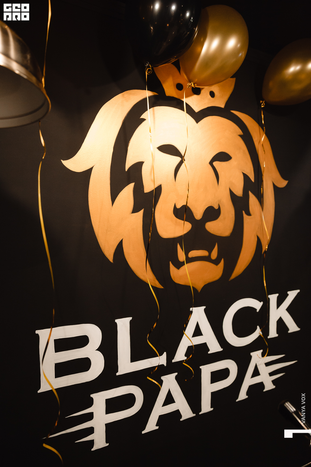 2020-02-03 19-00-00_vox_127.jpg