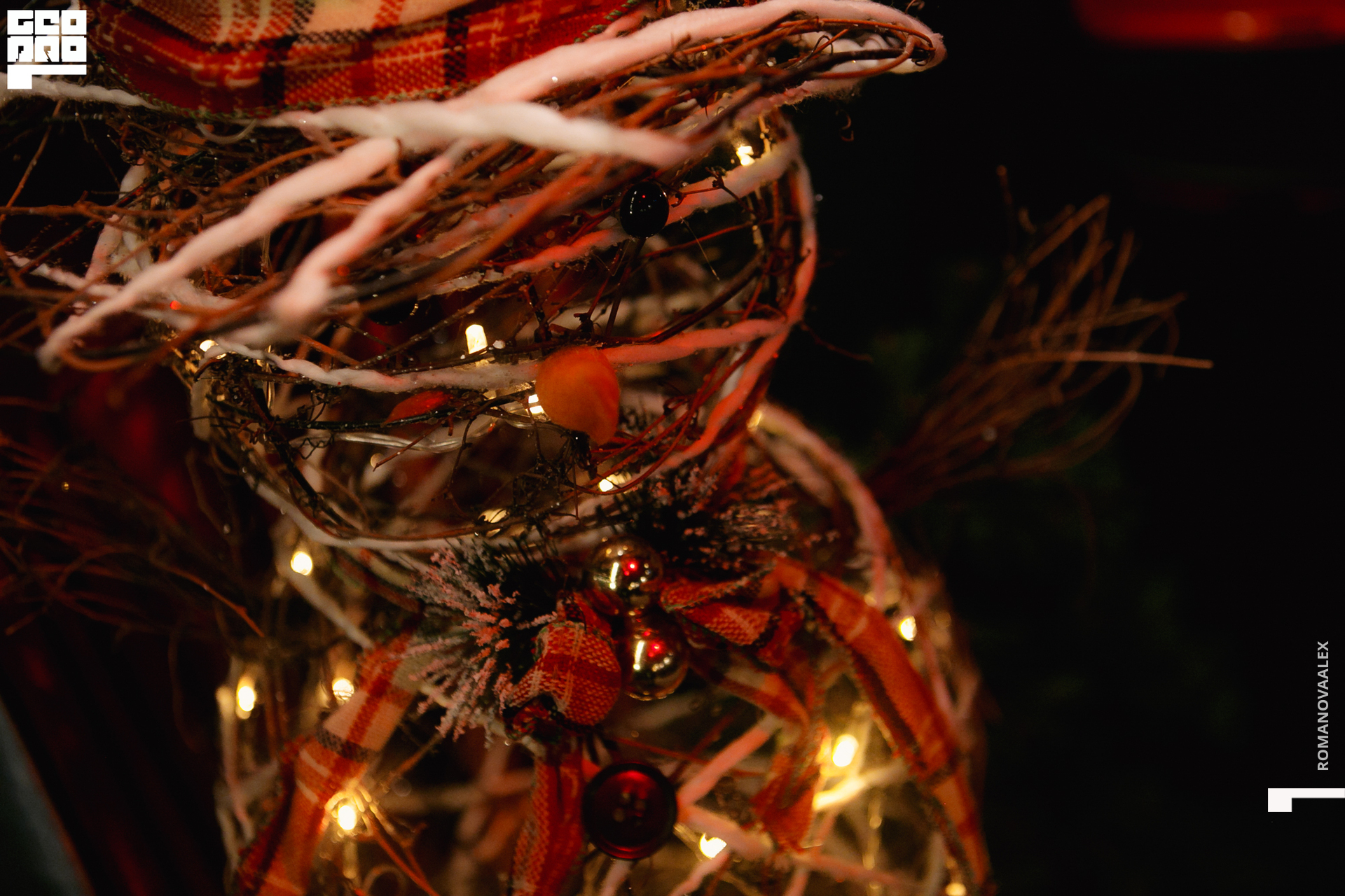 0064 2019-12-20 19-06-12_Романова.jpg