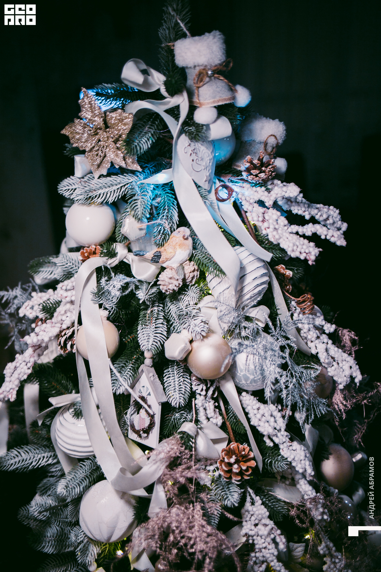 131219 Птичка и 5561 Абрамов для загрузки  0137.jpg