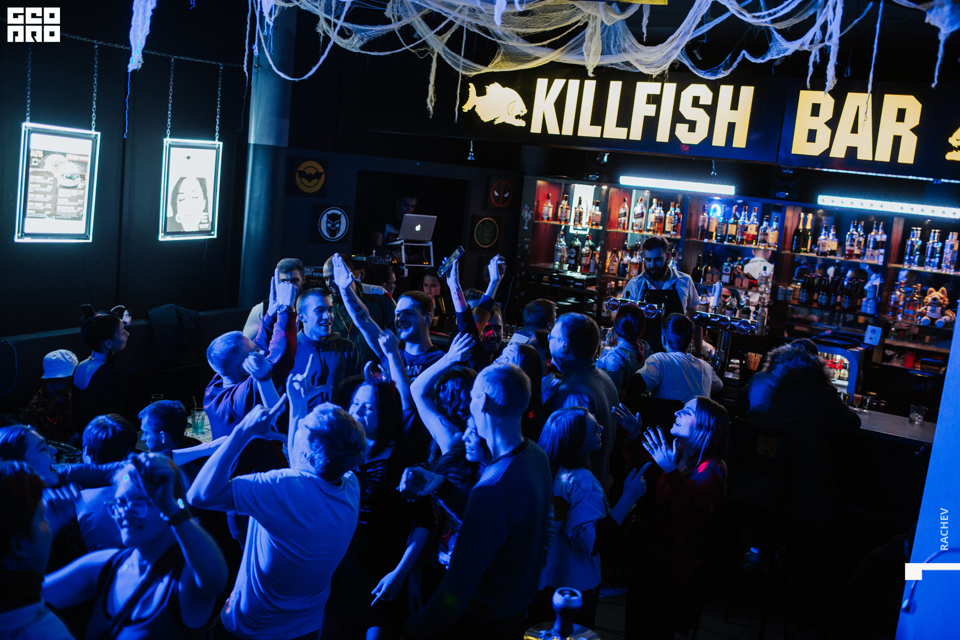 killfish-133.jpg
