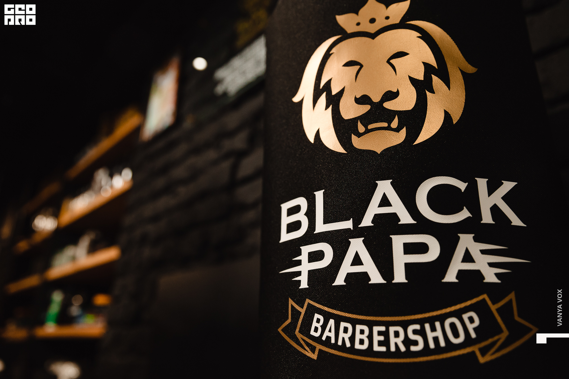 2020-02-03 19-00-00_vox_028.jpg