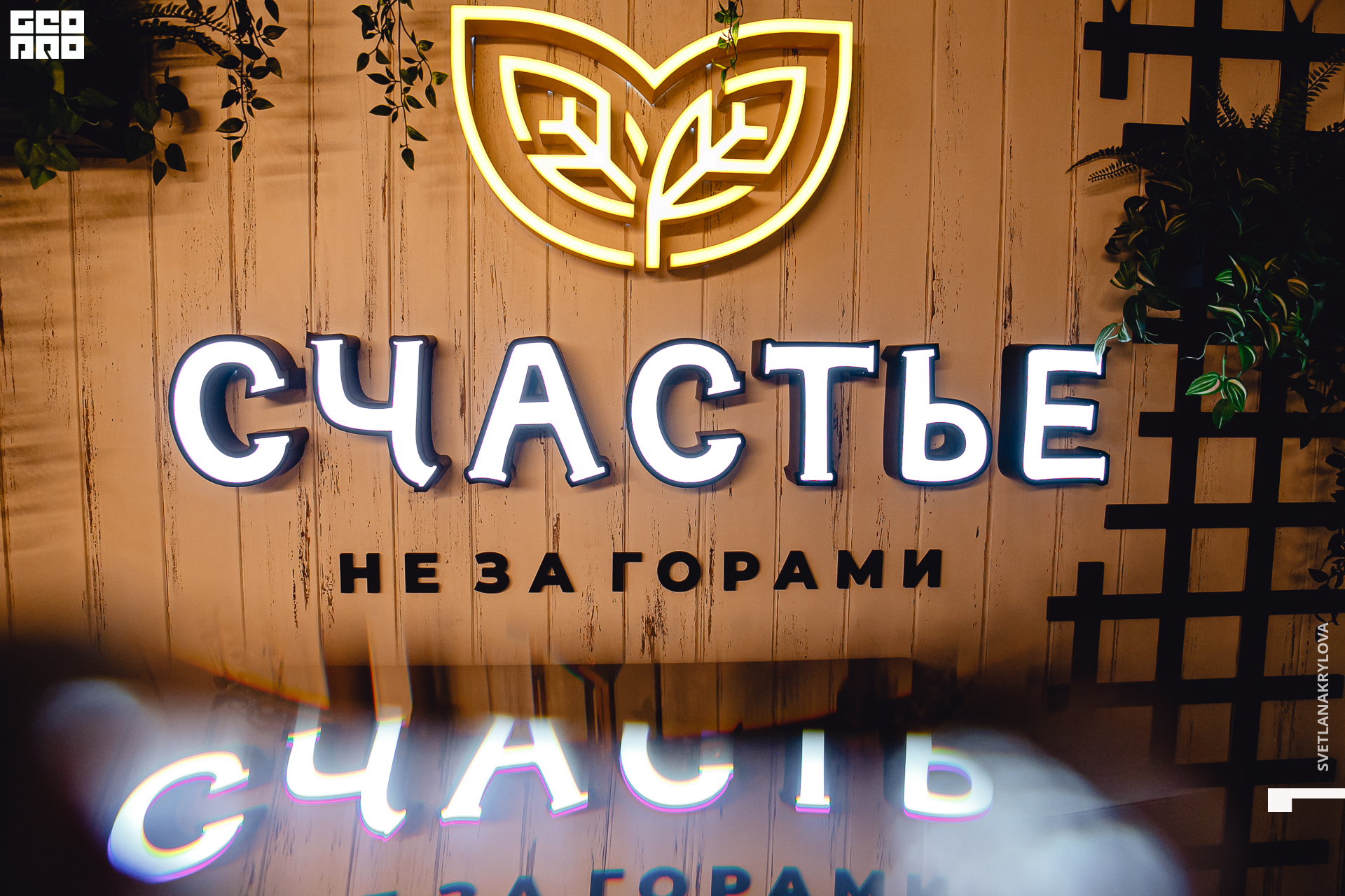 2020-02-06 21-00-00 Krylova_001.jpg