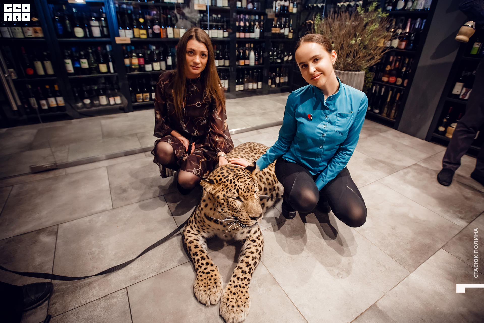 кино вино и домино - 263.jpg