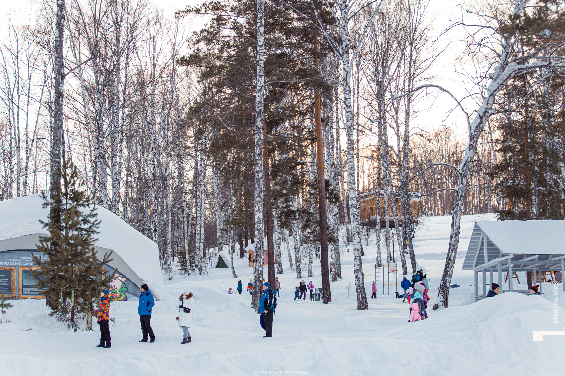 Лесная 26 января_00072.jpg