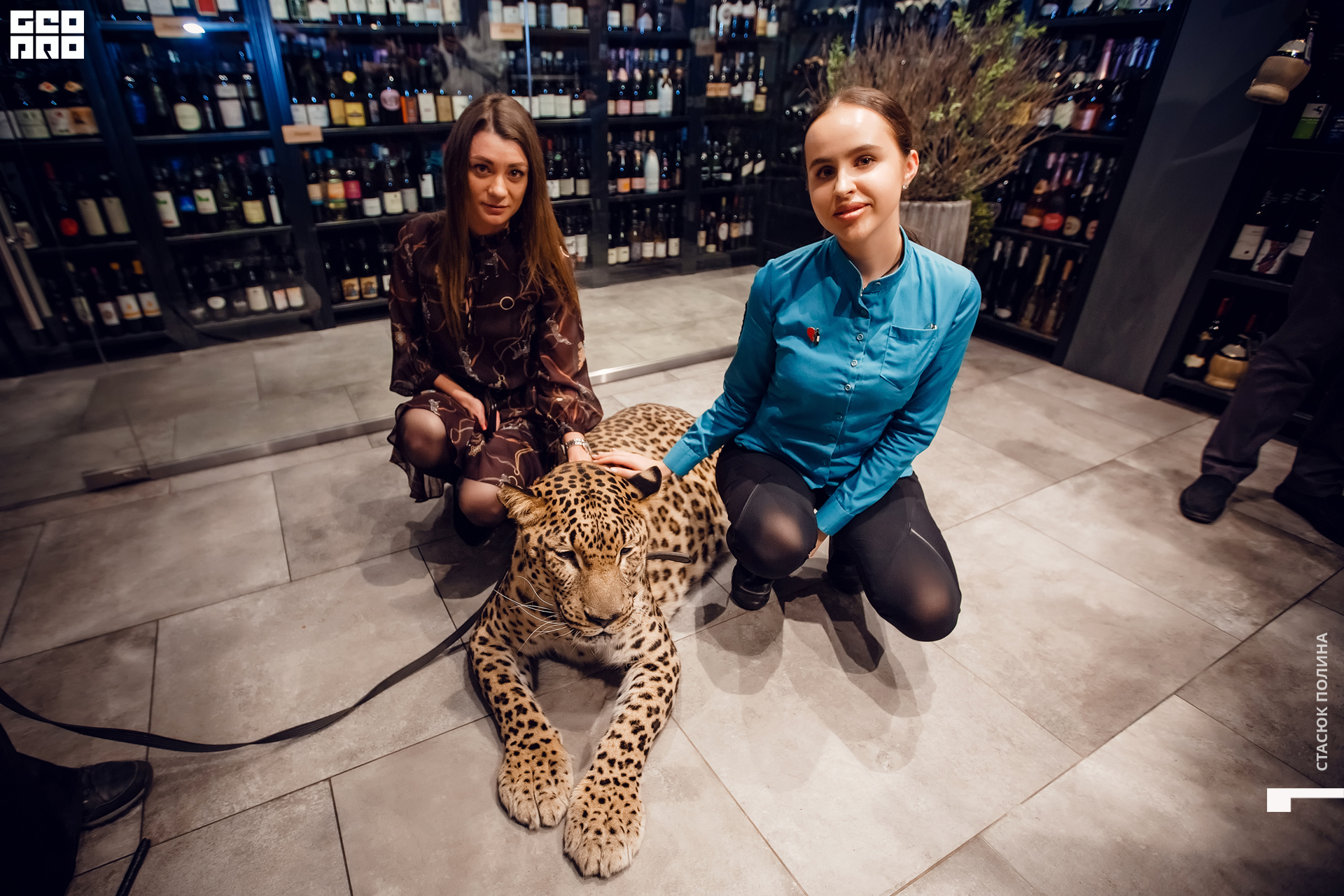 кино вино и домино - 194.jpg