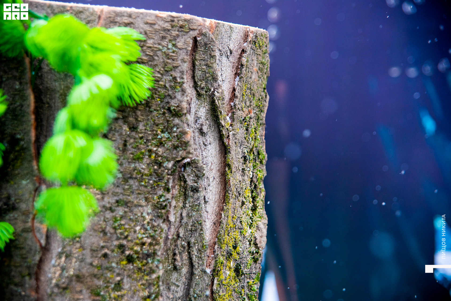 09.02.20 тв3_015.JPG