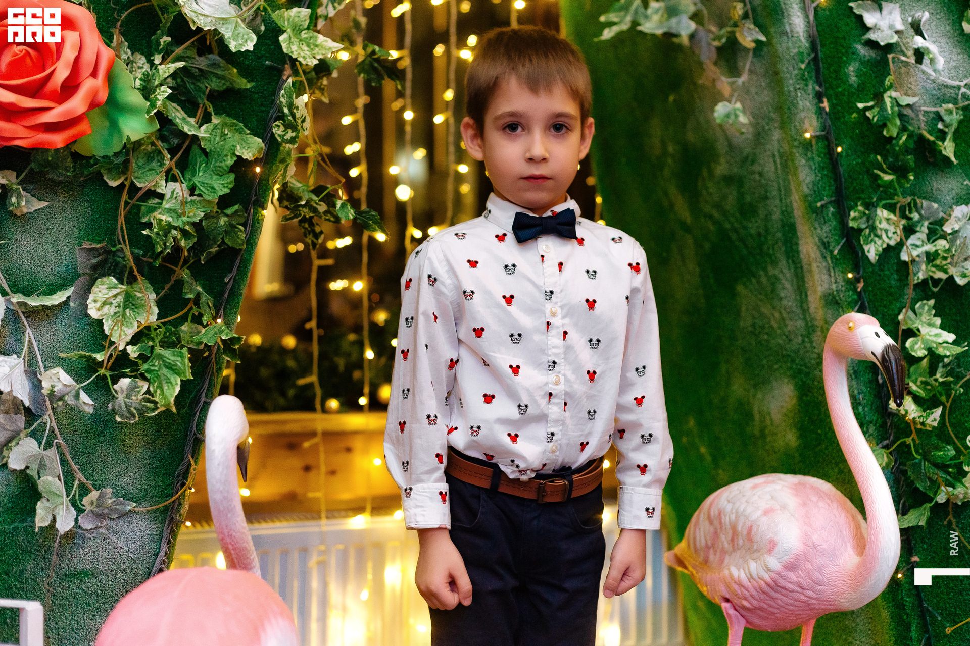 31.12.19 Груша_107.jpg