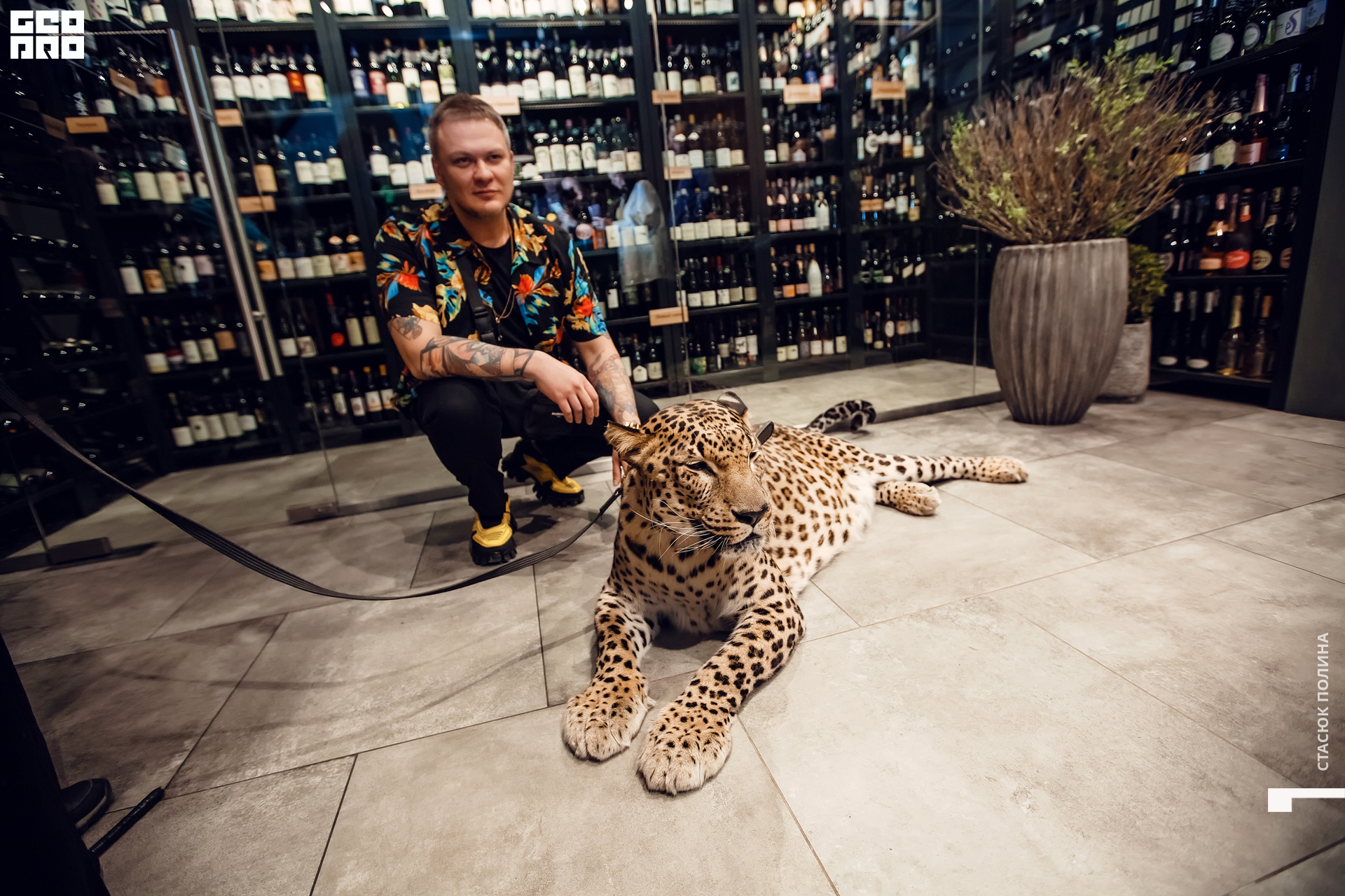 кино вино и домино - 195.jpg