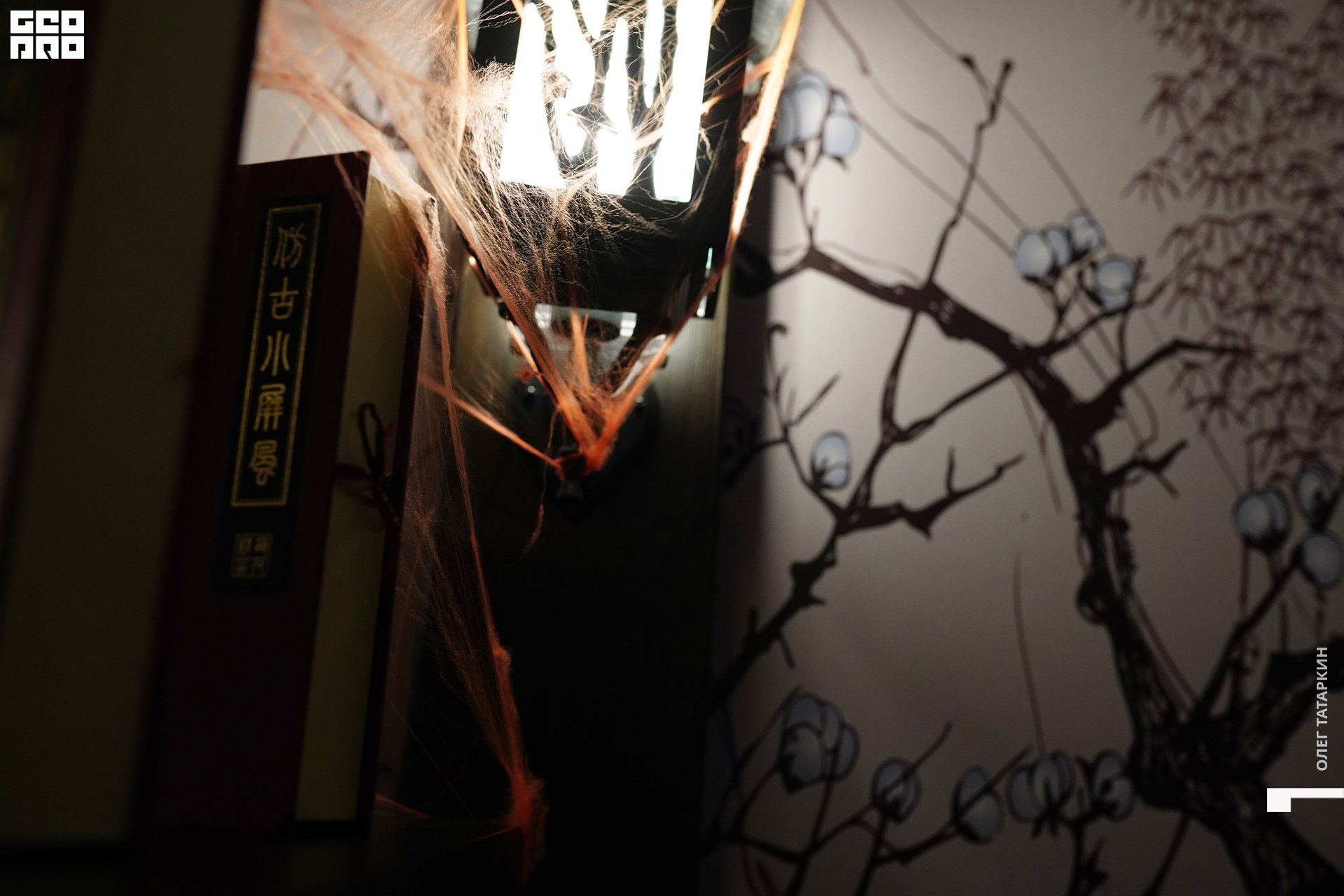 19-10-25 19-44-26_Татаркин.jpg