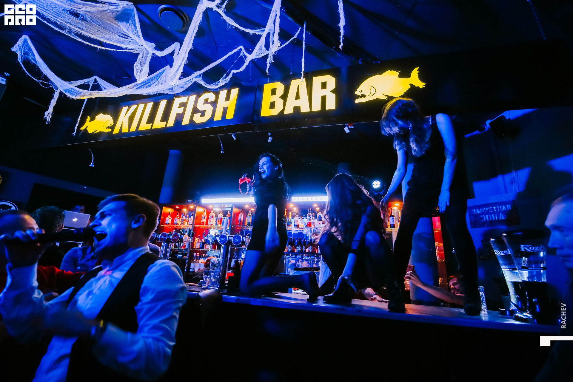 killfish-141.jpg