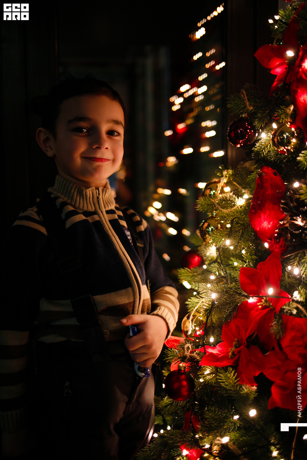 051219 Гастроужин Птичка Абрамов  0118.jpg